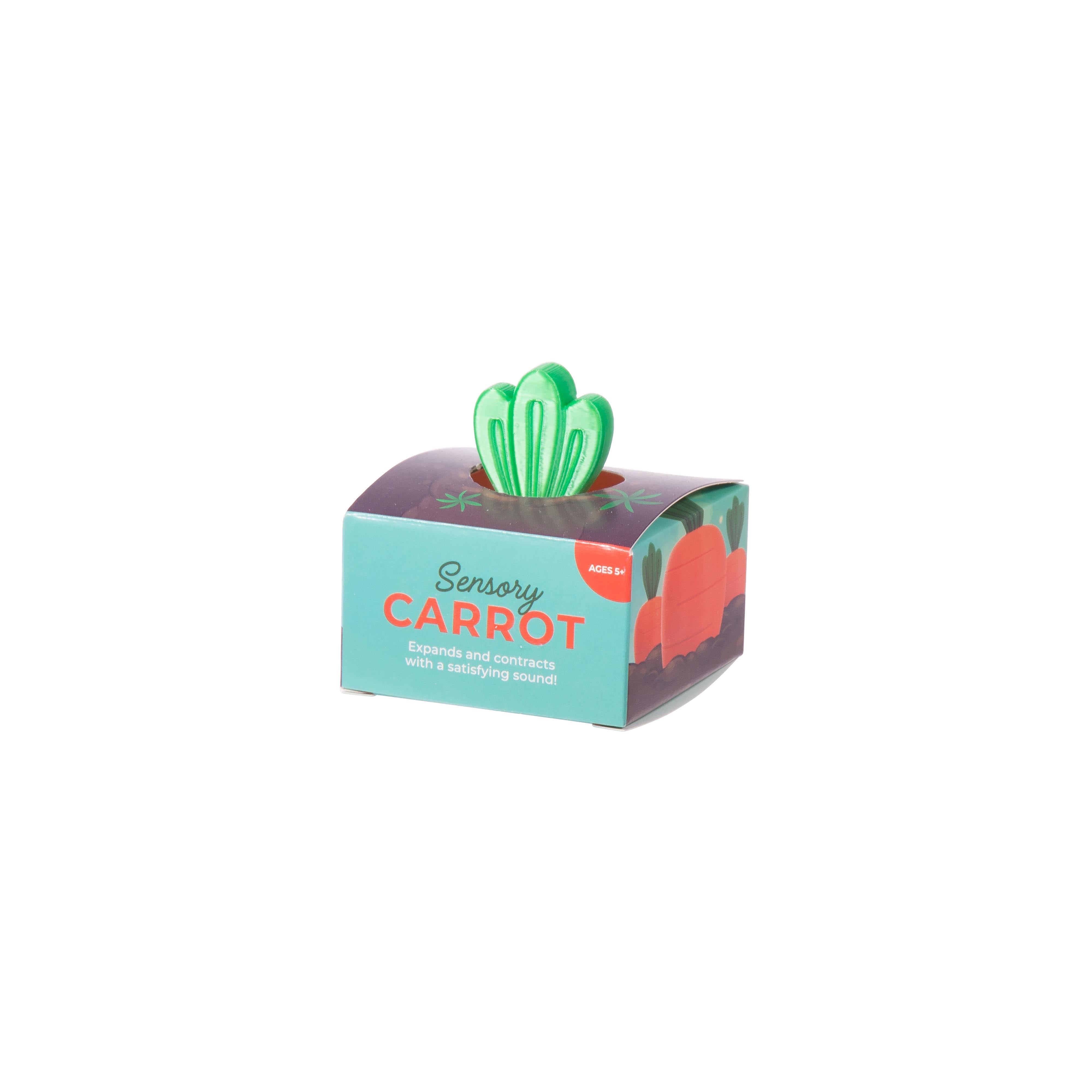Discovery Zone 3D Sensory Carrot