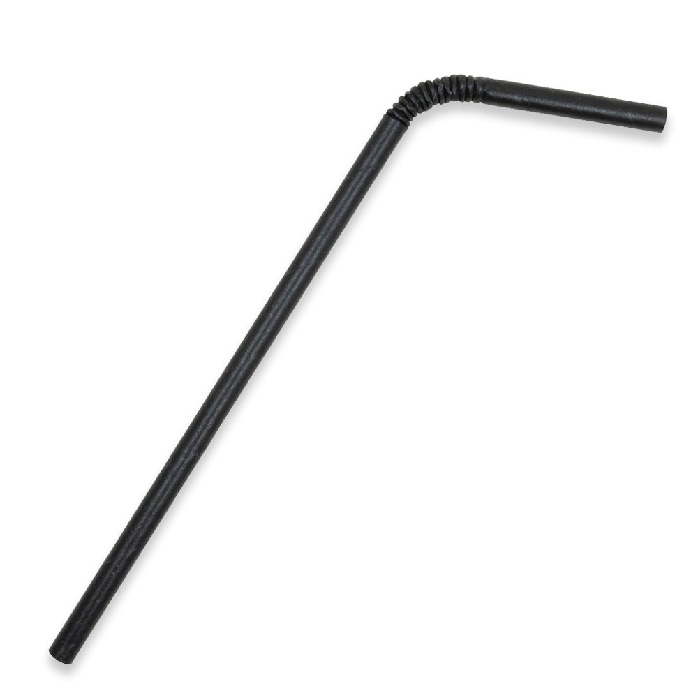 BioPak 6mm Regular Black Bendy BioStraw