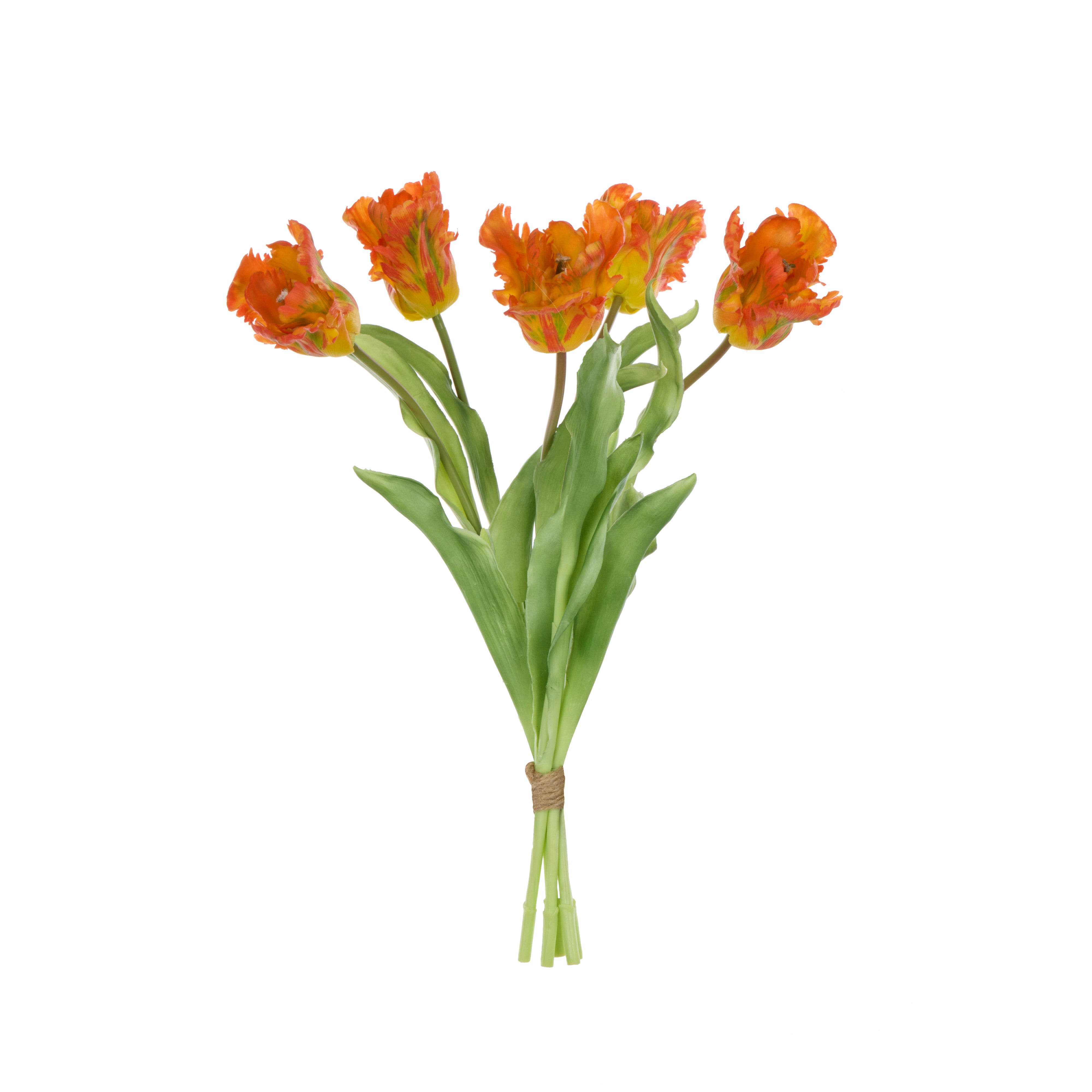 Rogue Parrot Tulip Bunch Orange