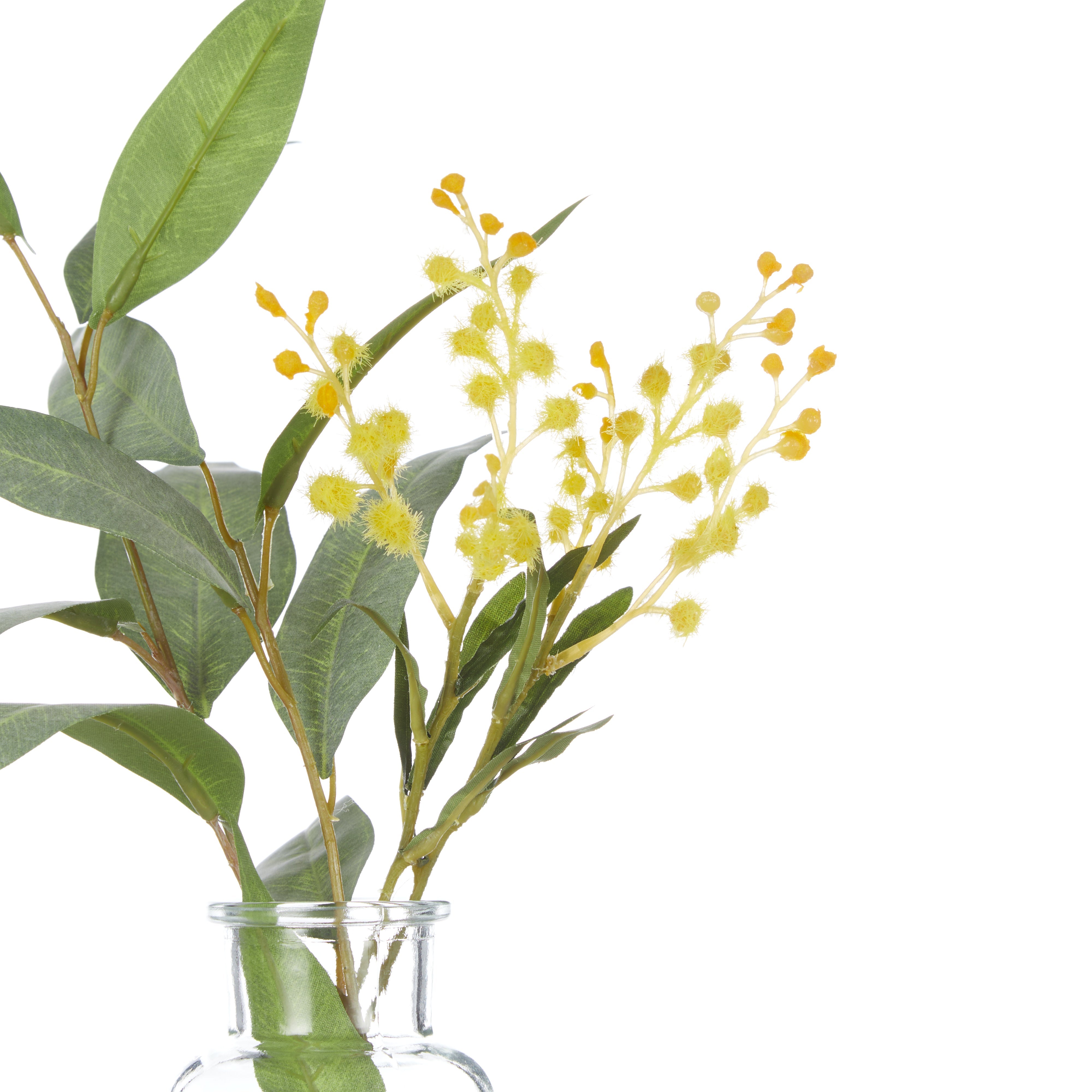 Rogue Eucalyptus Wattle Mix - Specimen Bottle 6pcs/2 Assorted Green & Glass