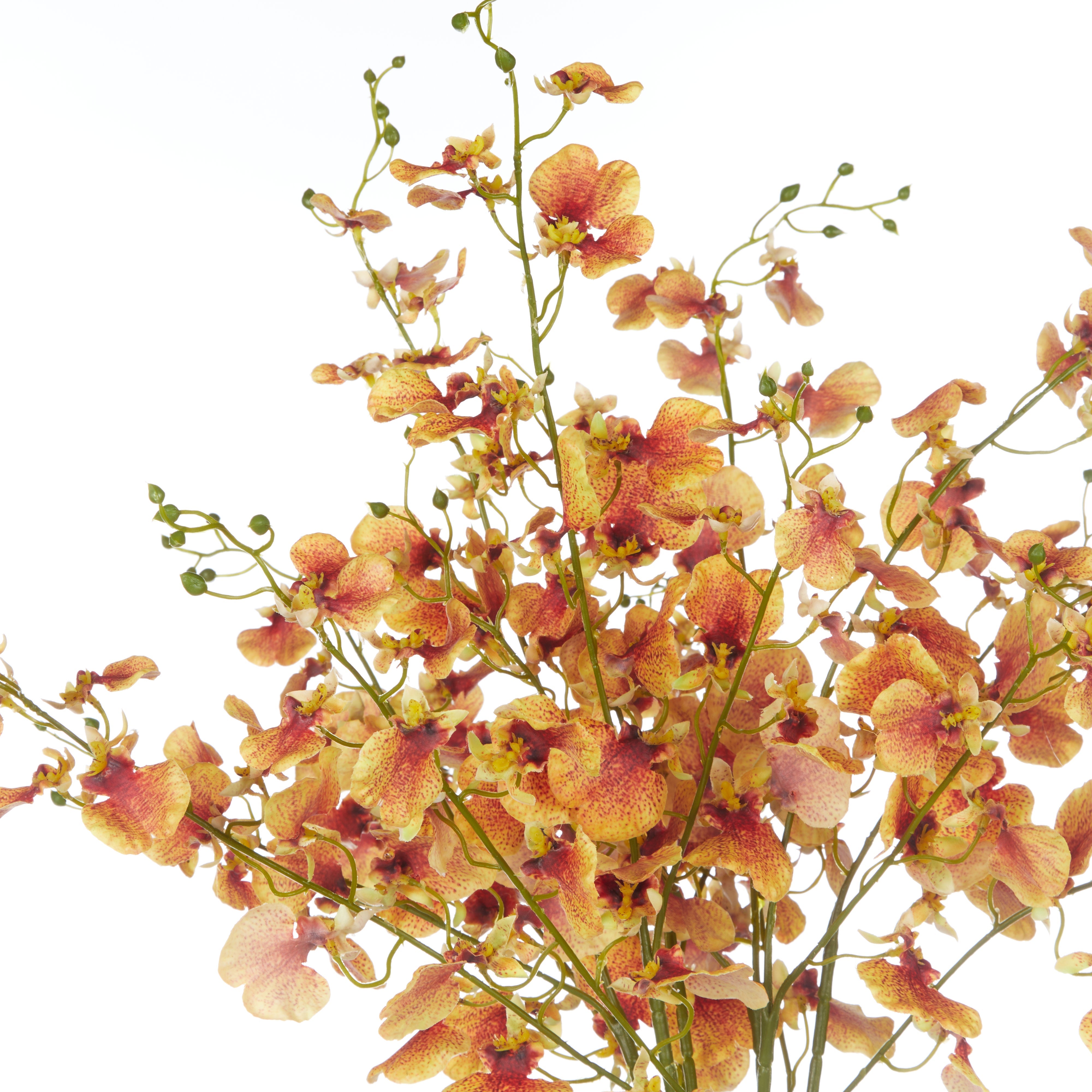 Rogue Dancing Orchid - Rachel Vase Orange & Clear