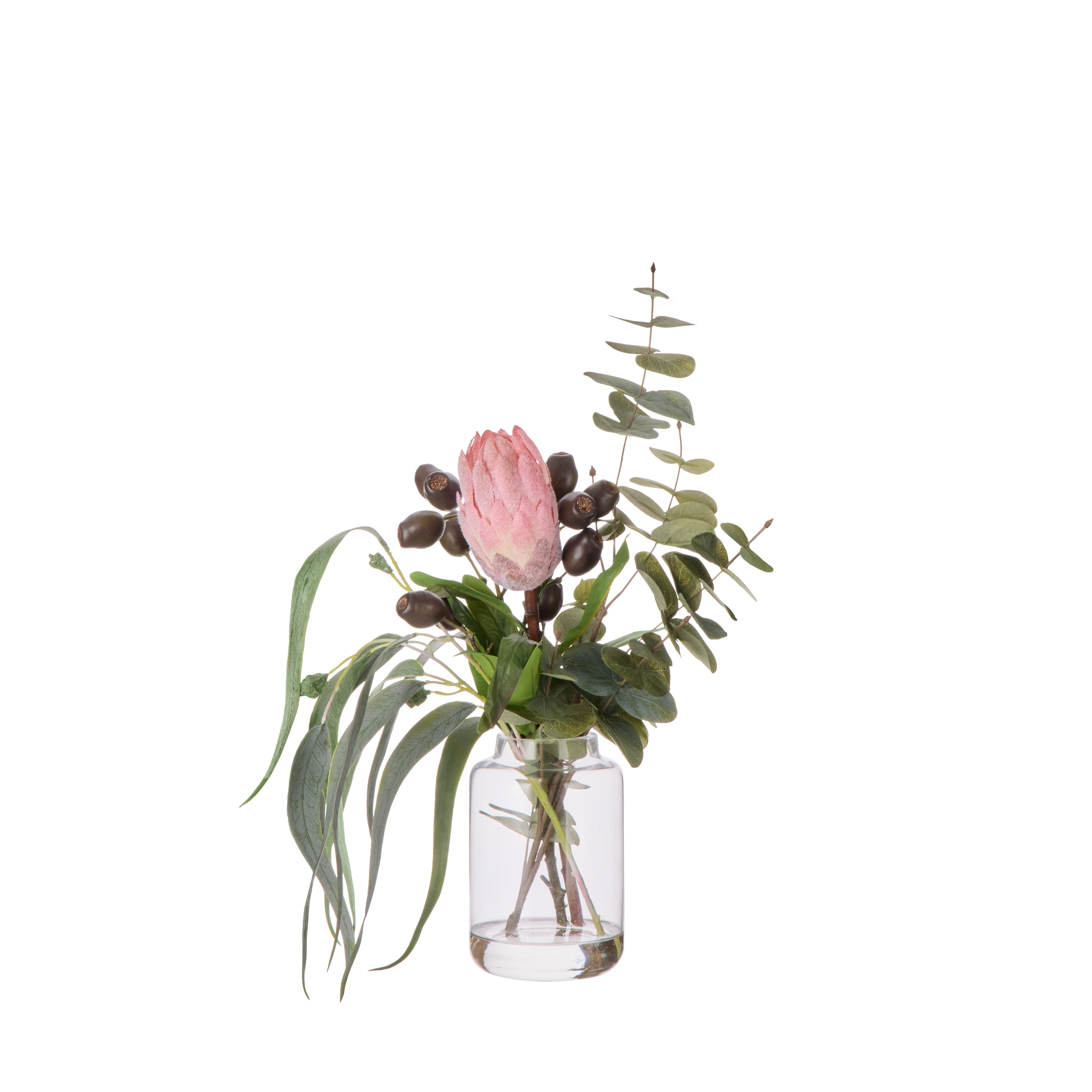 Rogue Protea Seeding Mix - Pauline Rust & Green