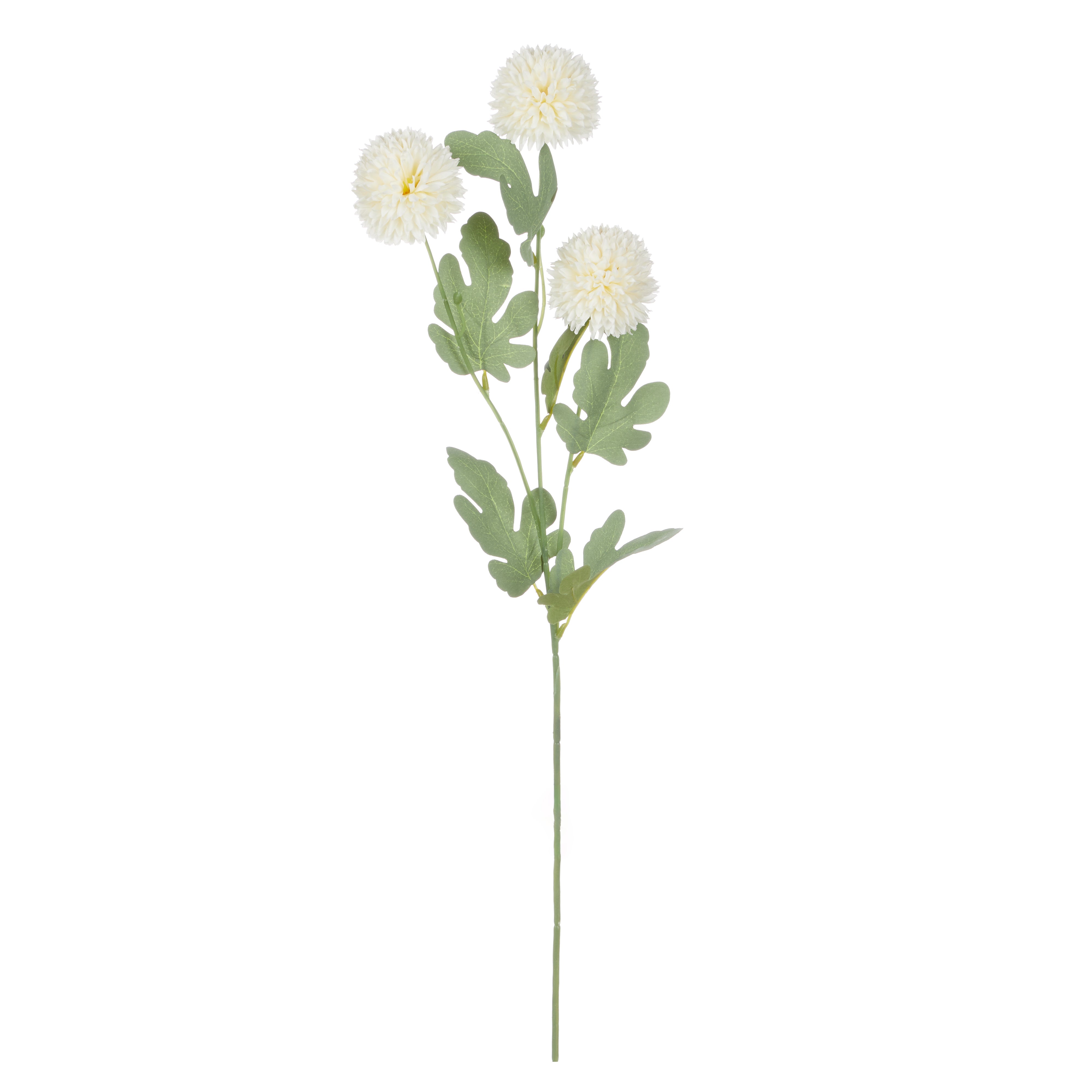 Rogue Kiku Spray Ivory