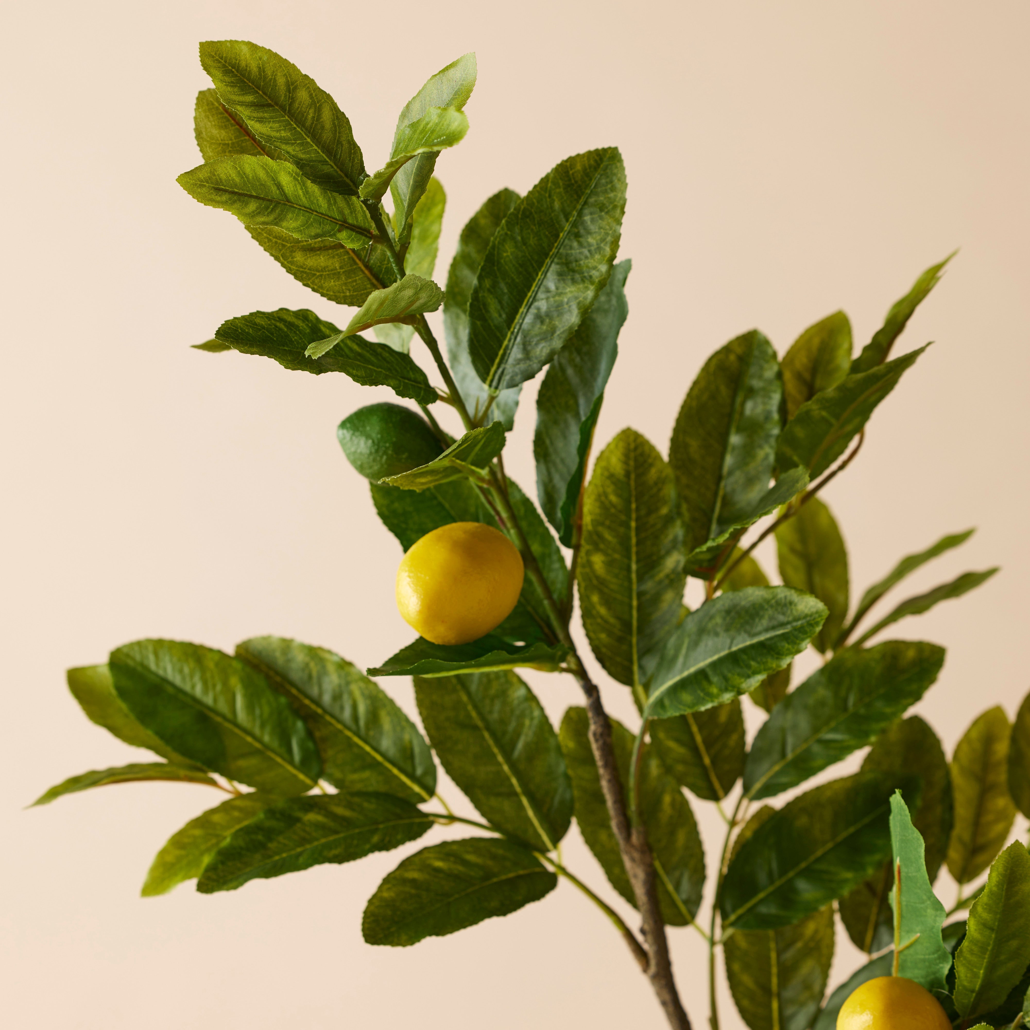 Rogue Lemon Spray