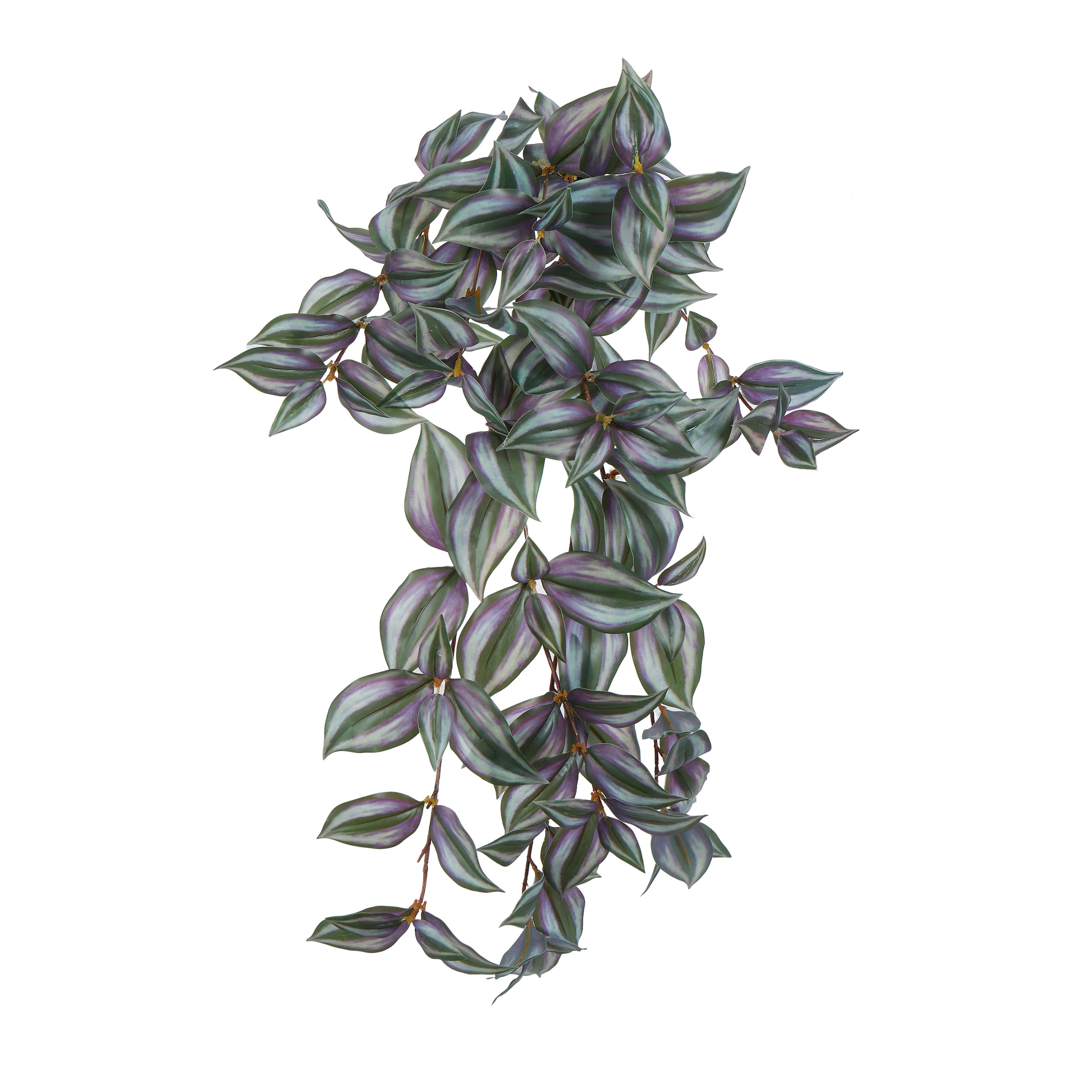 Rogue Wandering Dude Hanging Bush 61cm