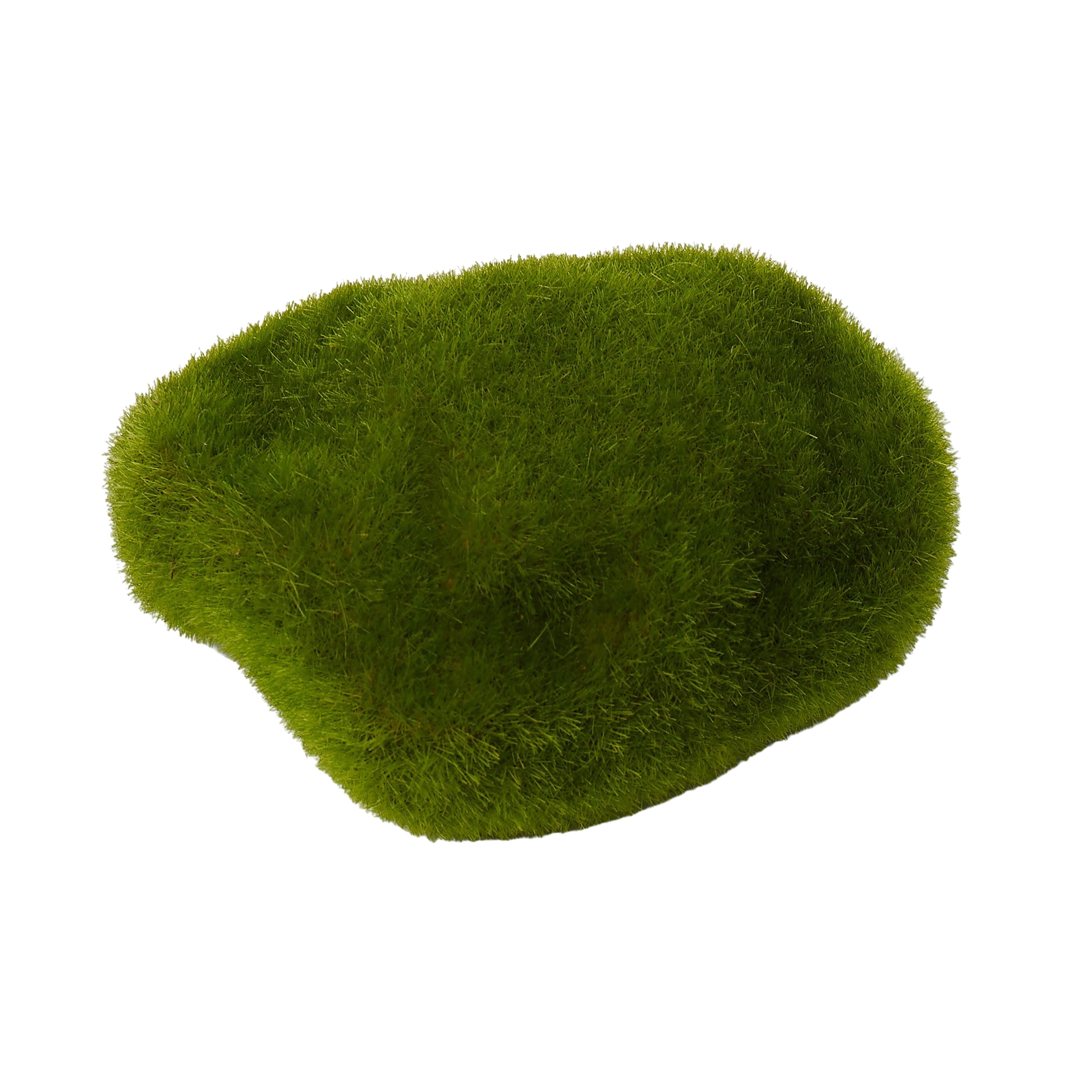 Rogue Moss Stone 4.5cm