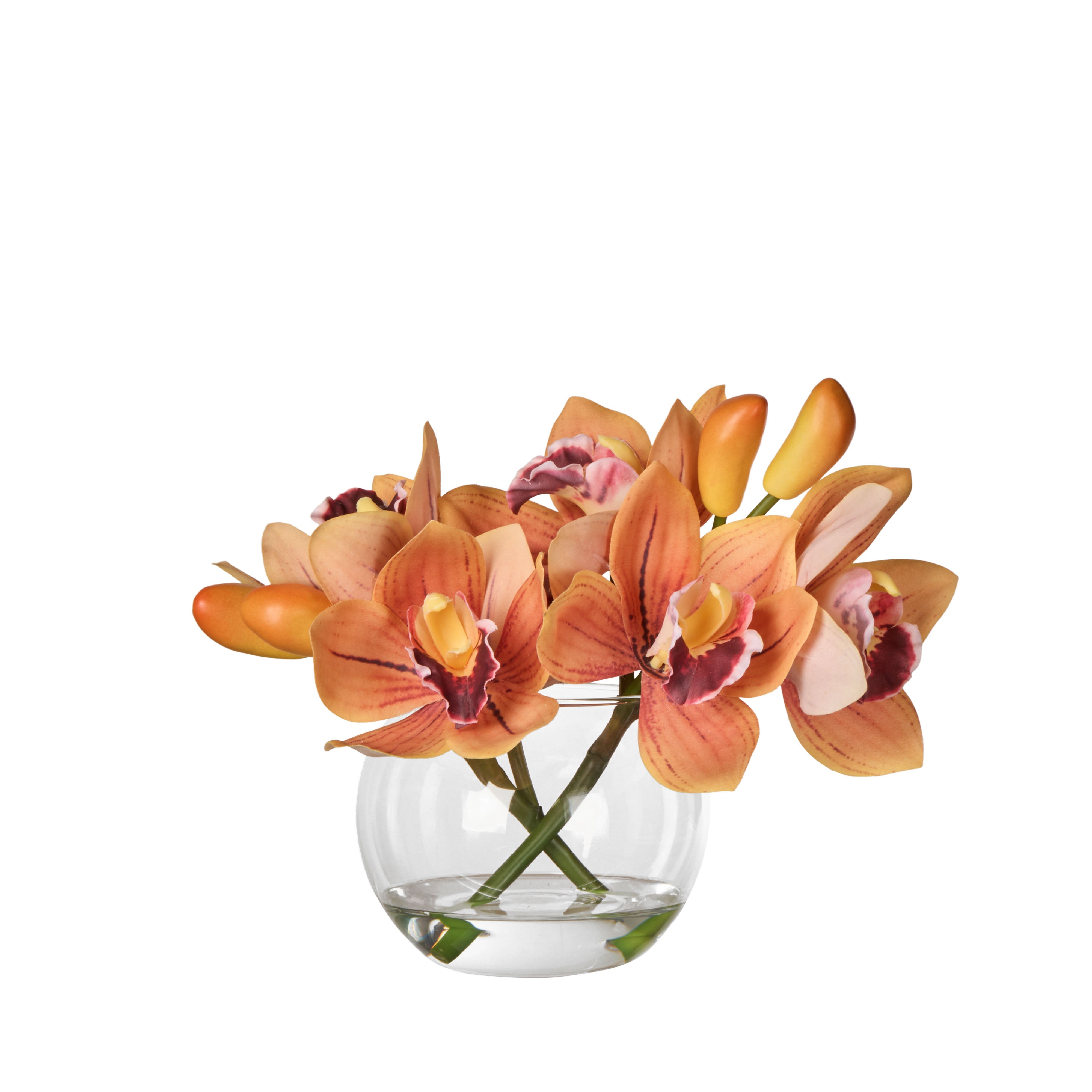 Rogue Cymbidium-Glass Vase Orange 20cm