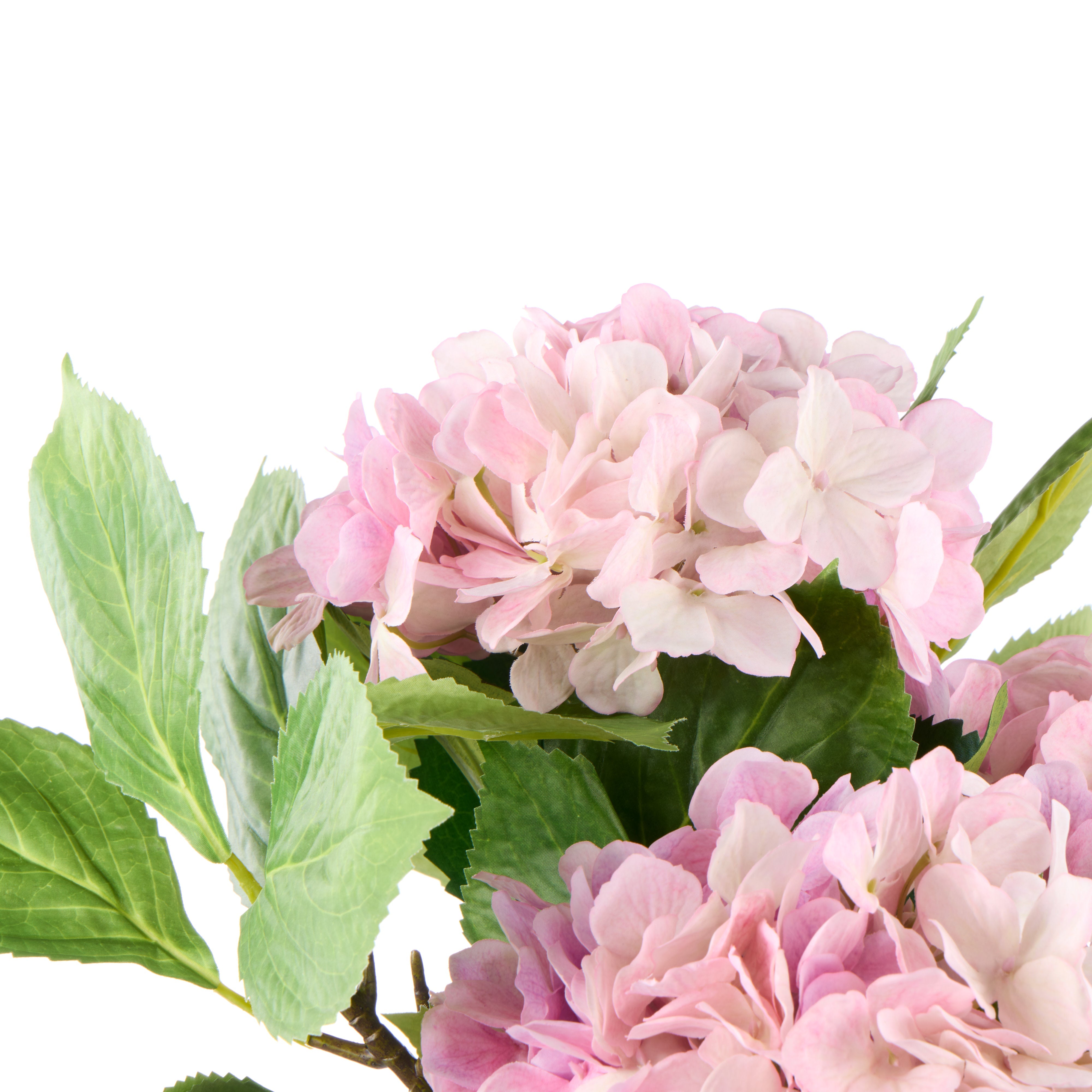 Rogue Hydrangea Vivid Leaf Bouquet Pink