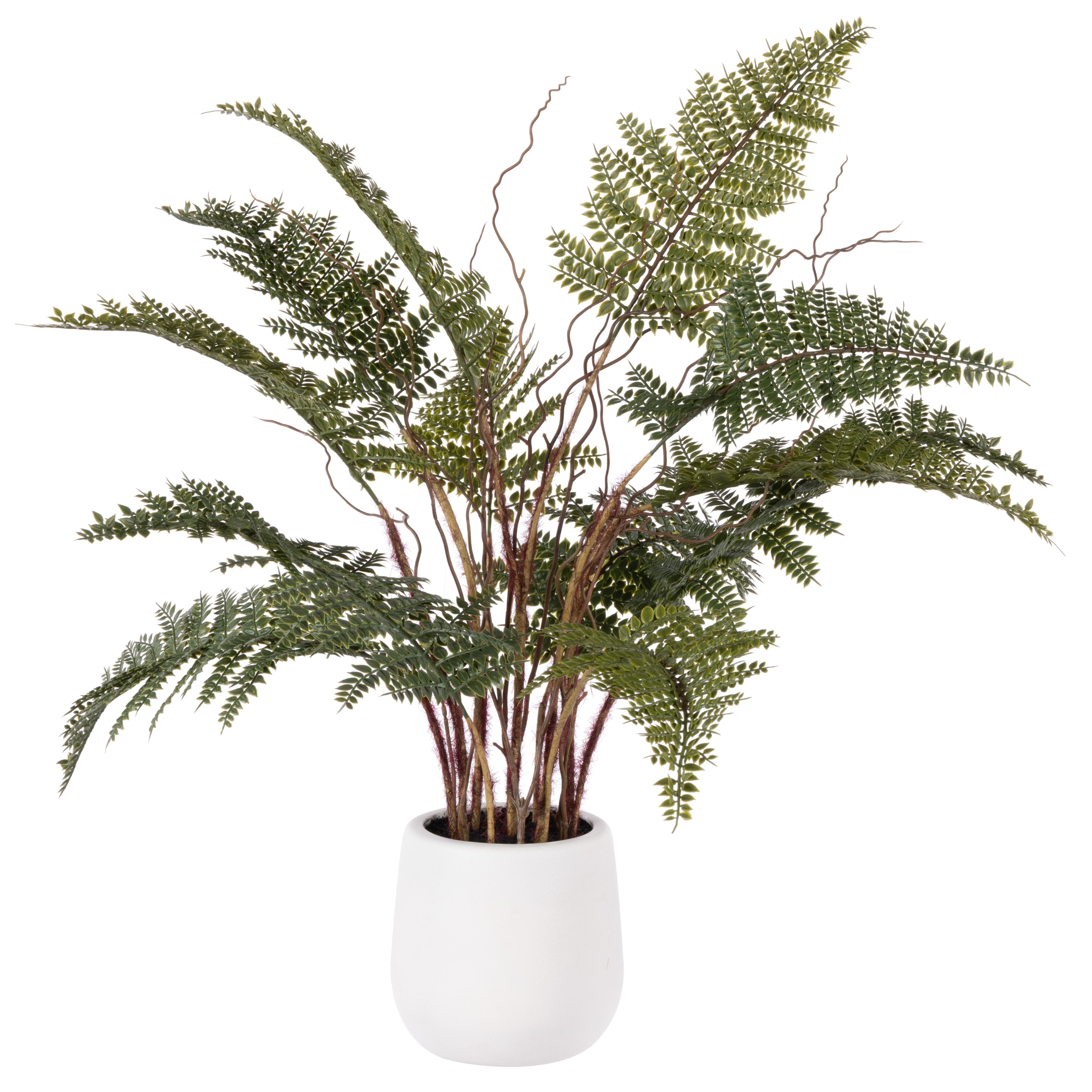 Rogue Mountain Wood Fern Pot 56cm