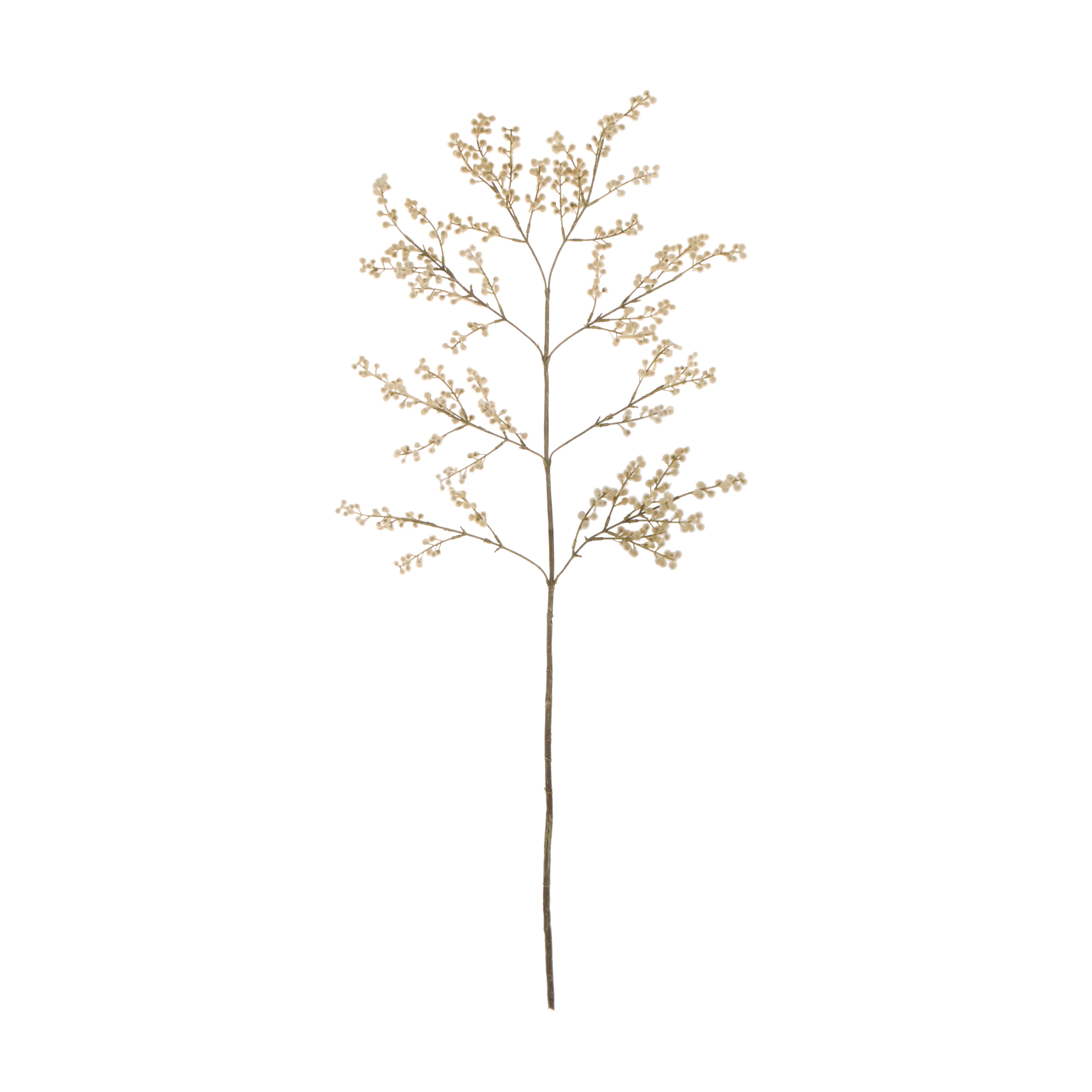 Rogue Wattle Branch