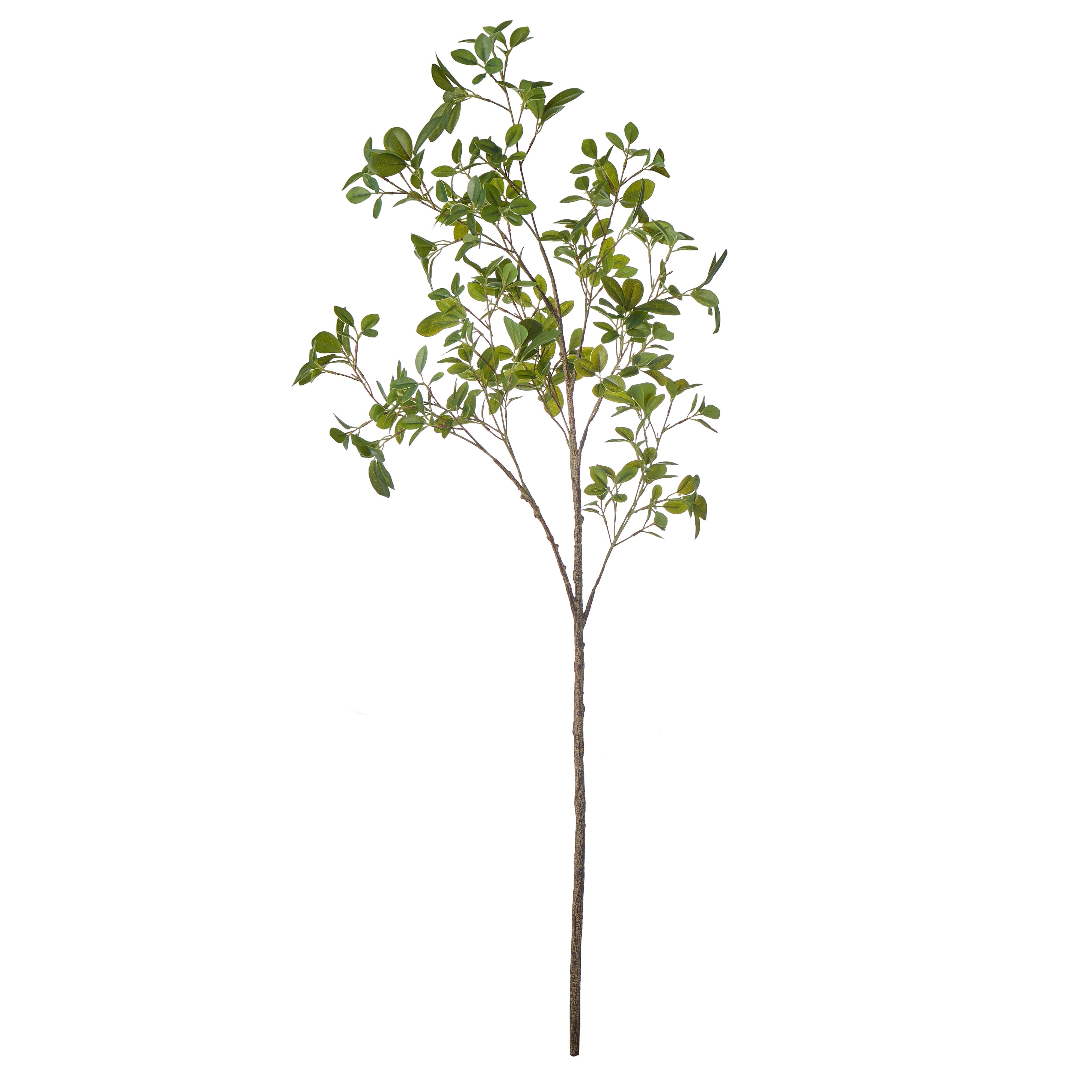 Rogue Mini Leaf Branch