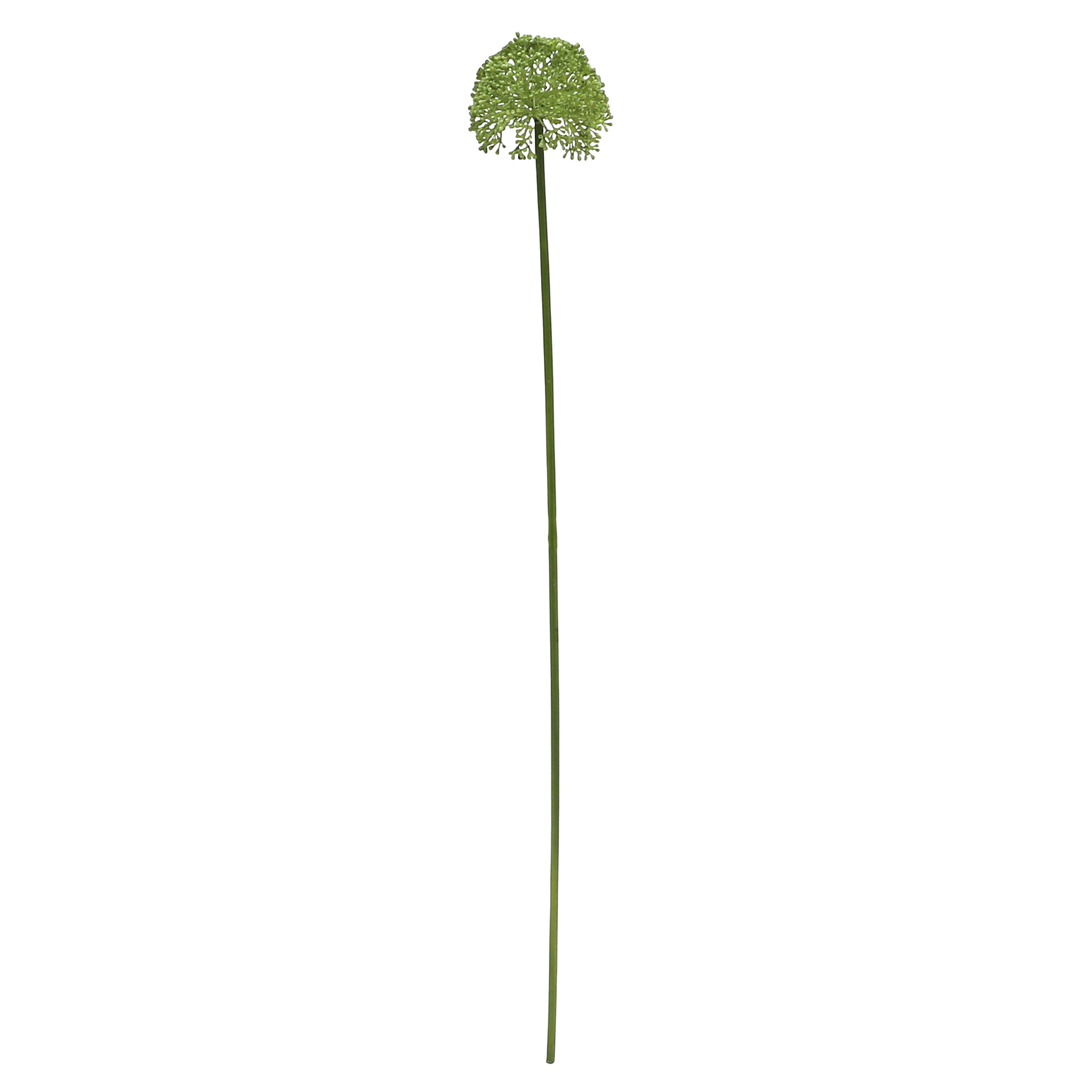 Rogue Buddleia Stem