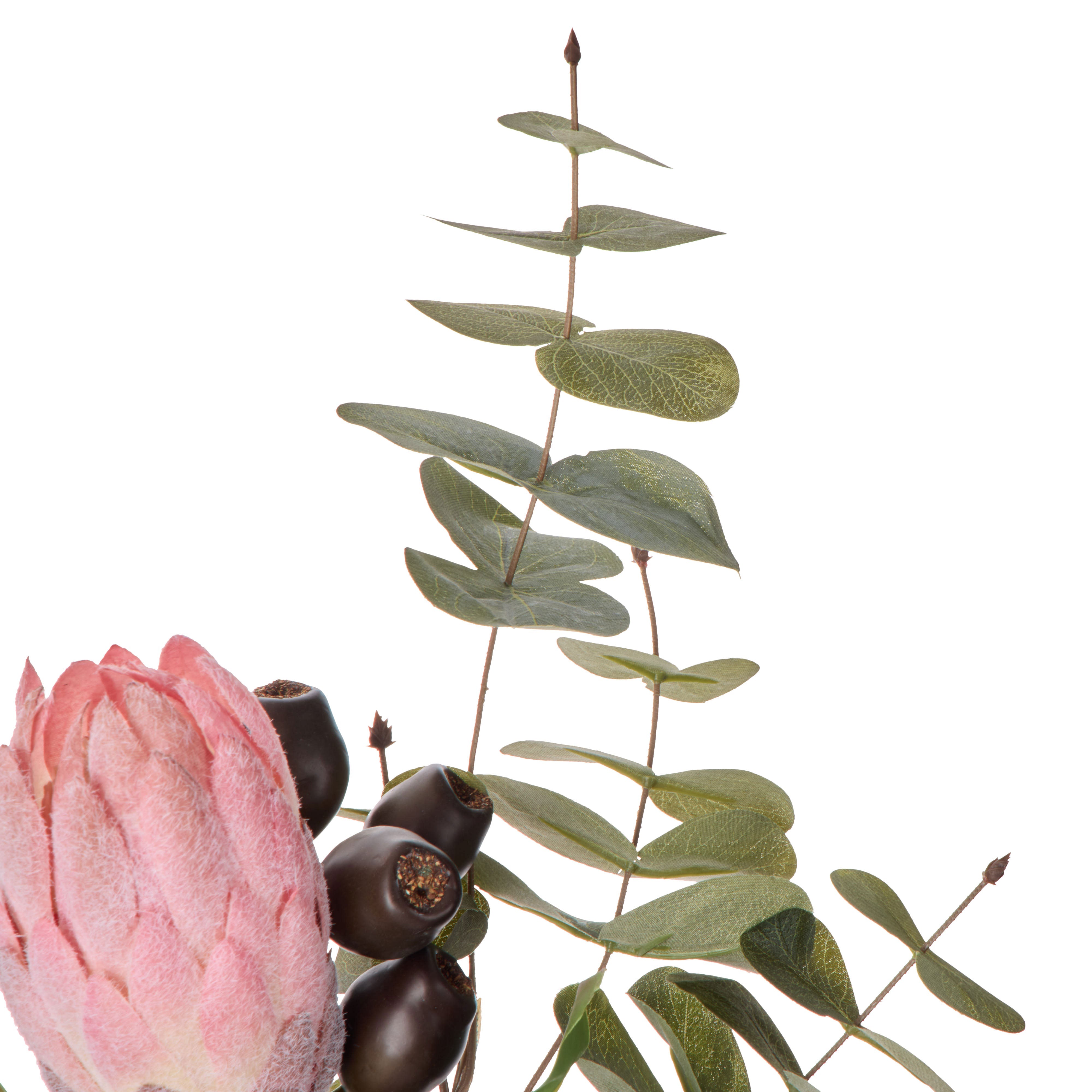 Rogue Protea Seeding Mix - Pauline Rust & Green