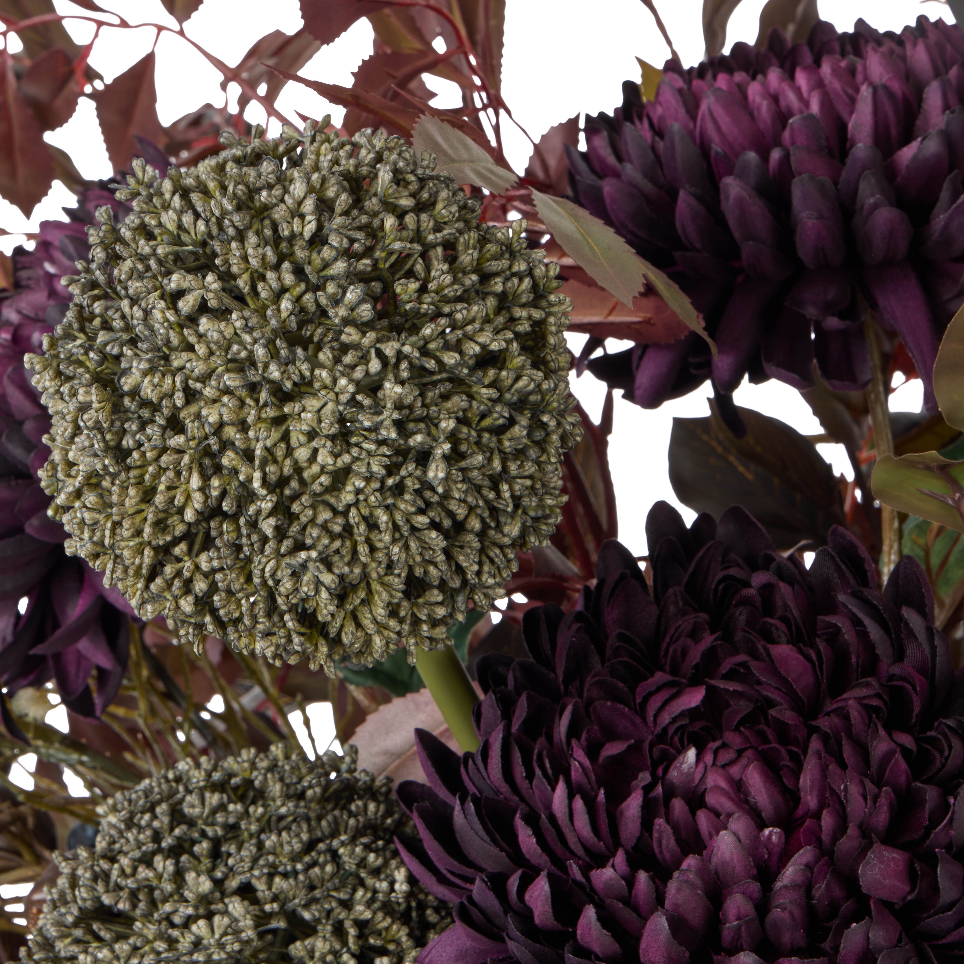 Rogue Chrysanthemum Fig Garden Mix - Maliah Pot