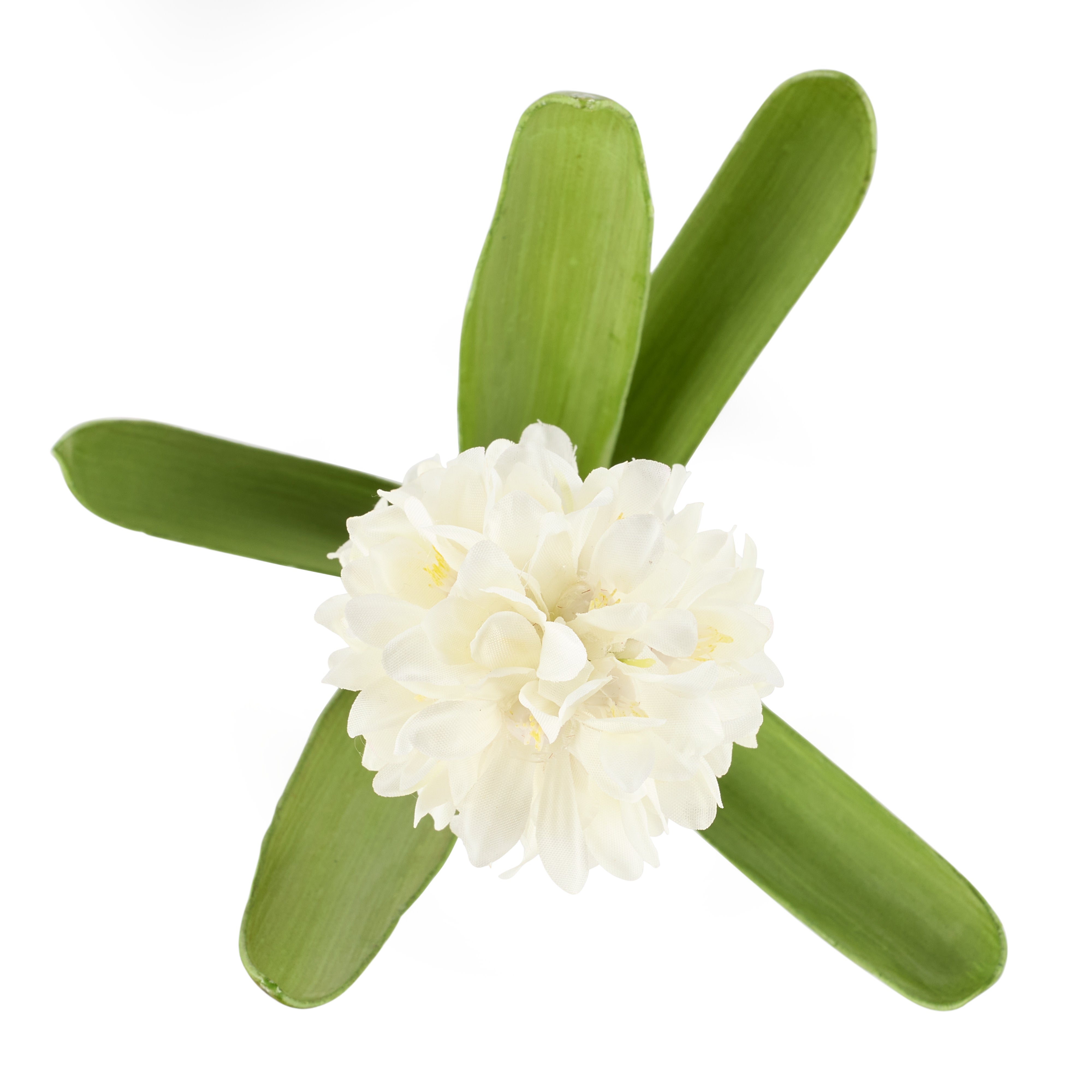Rogue Hyacinth with Leaves Stem White