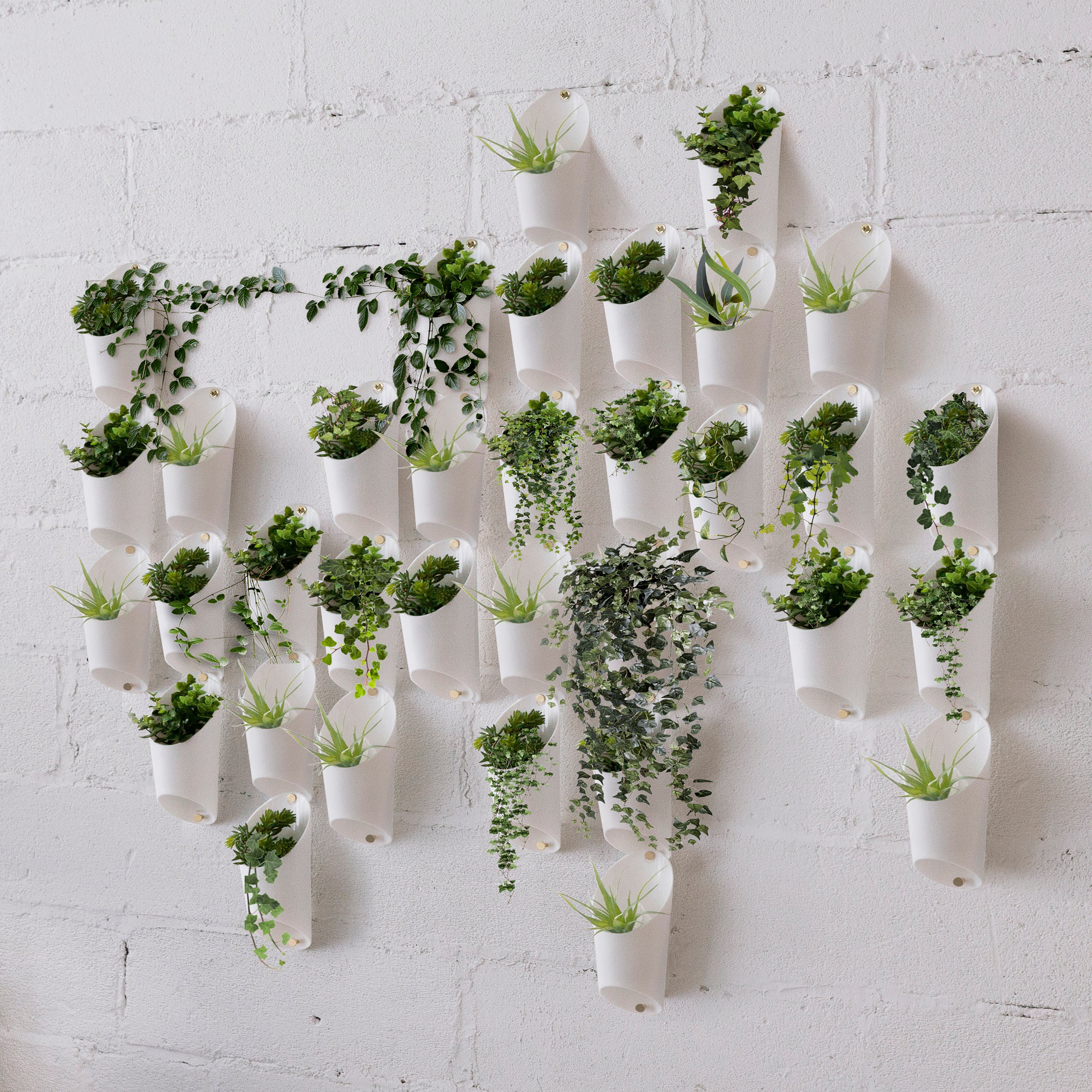 Umbra Floralink Wall Vessel