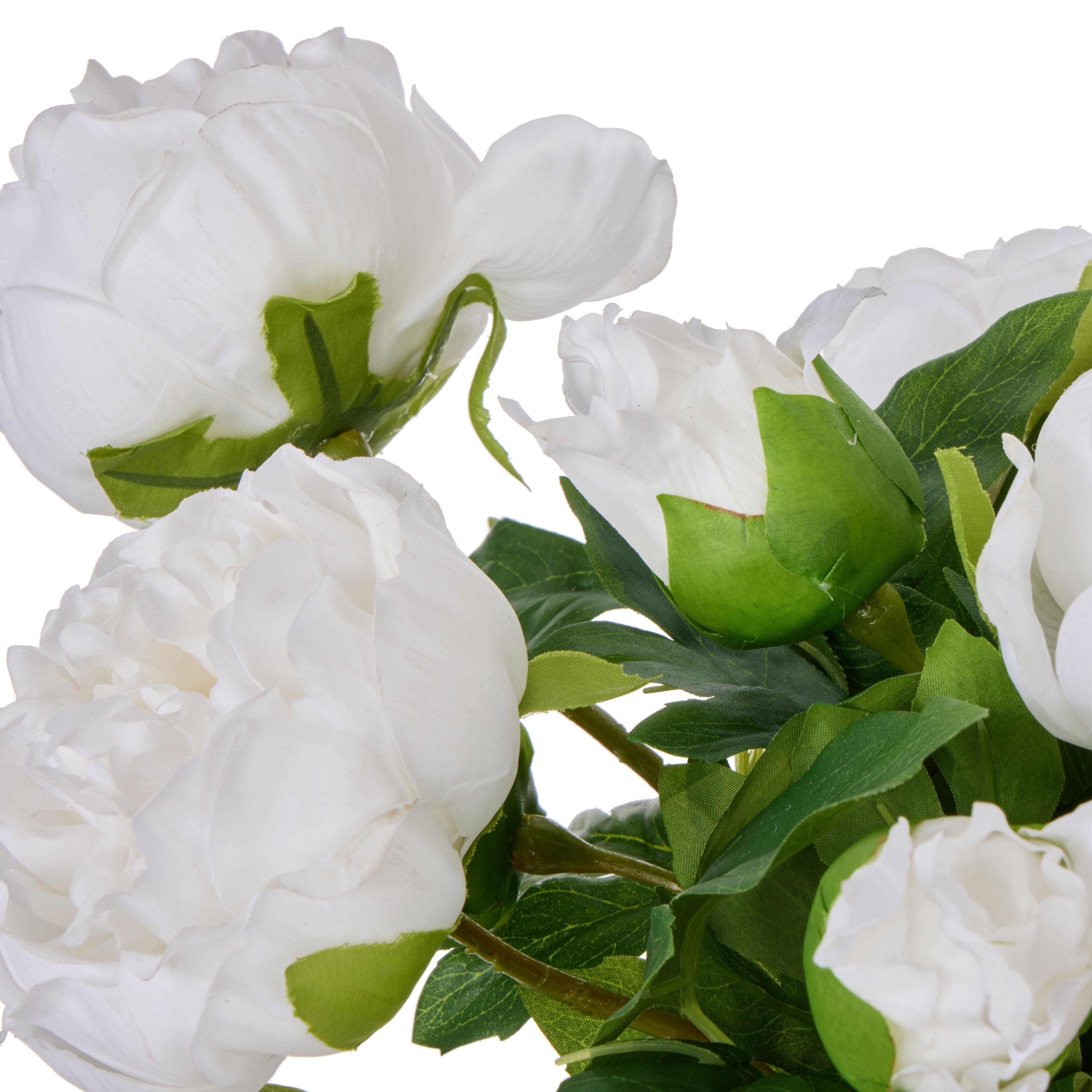 Rogue Peony - Sphere Real Touch