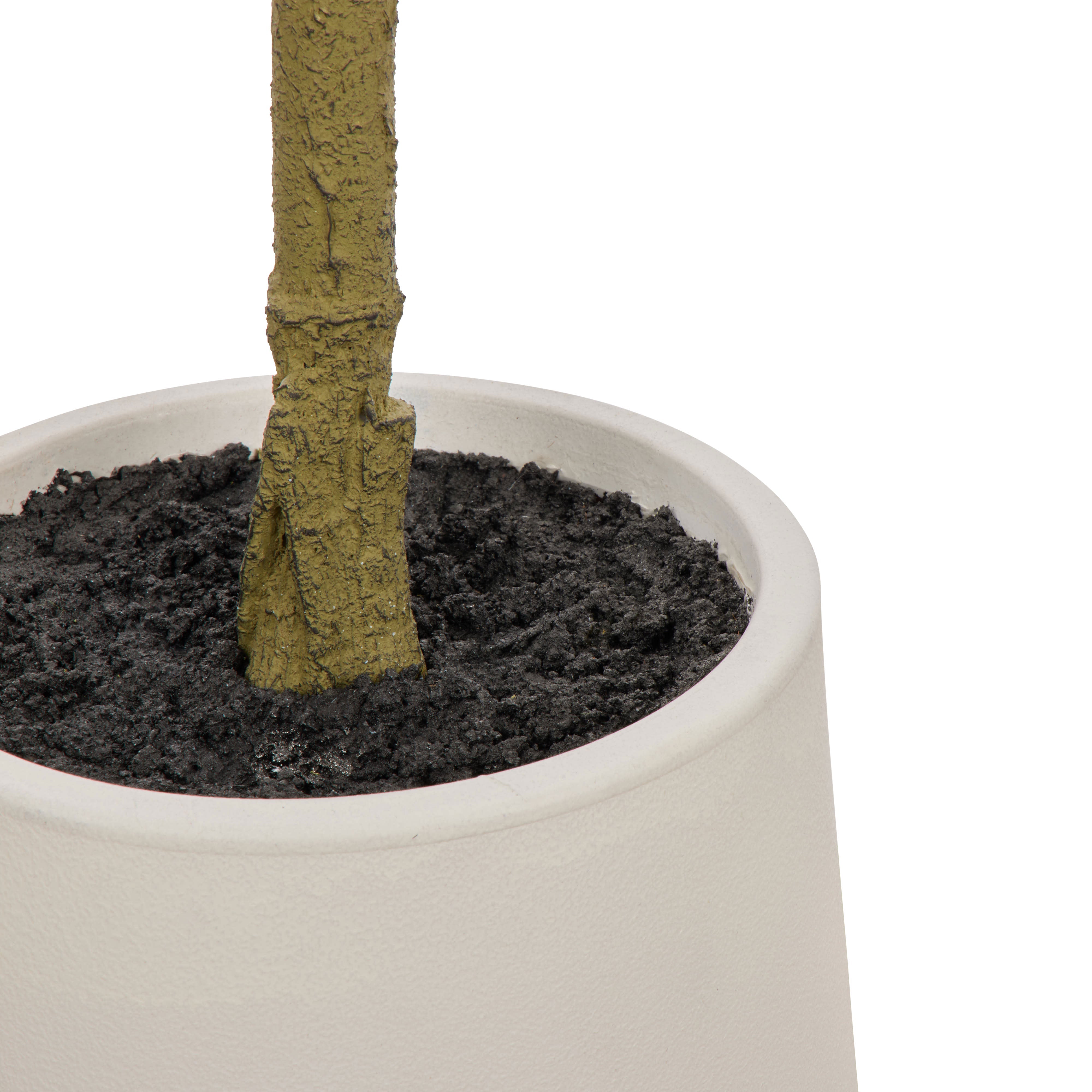 Rogue Ficus Tree Pot Green 120cm