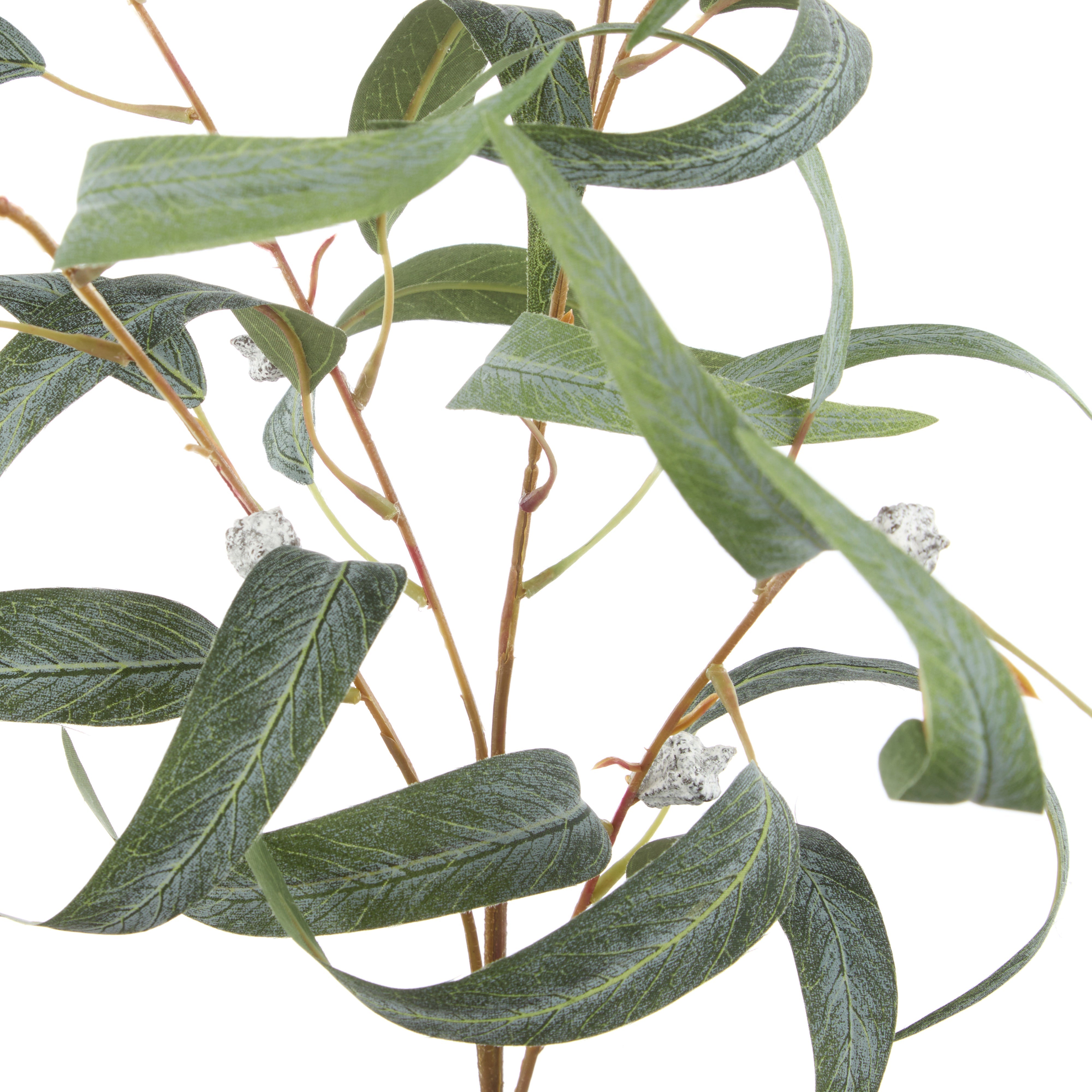 Rogue Eucalyptus Gumnut Spray Green 102cm
