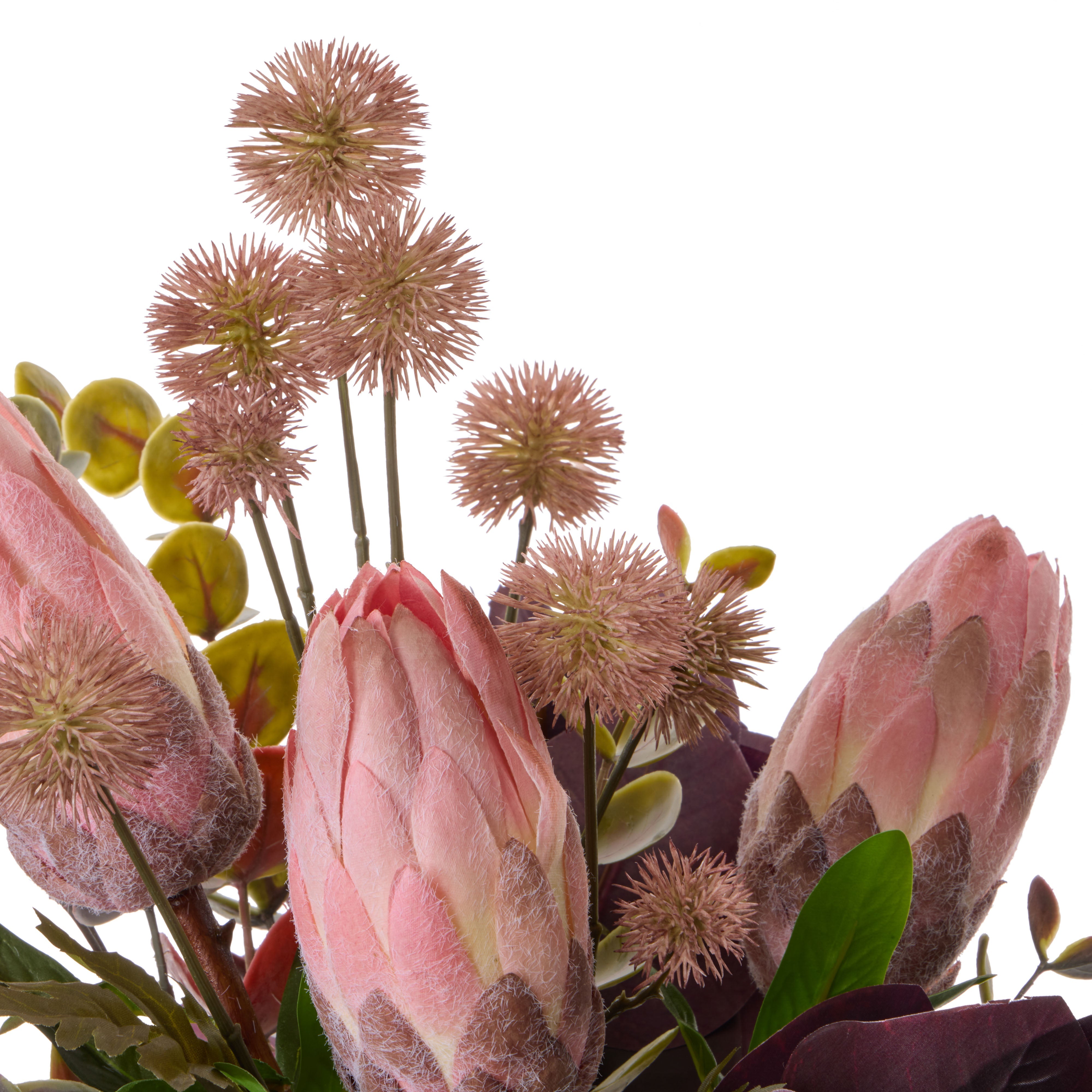 Rogue Protea Eucalyptus Mix - Pail Pink & Burgundy