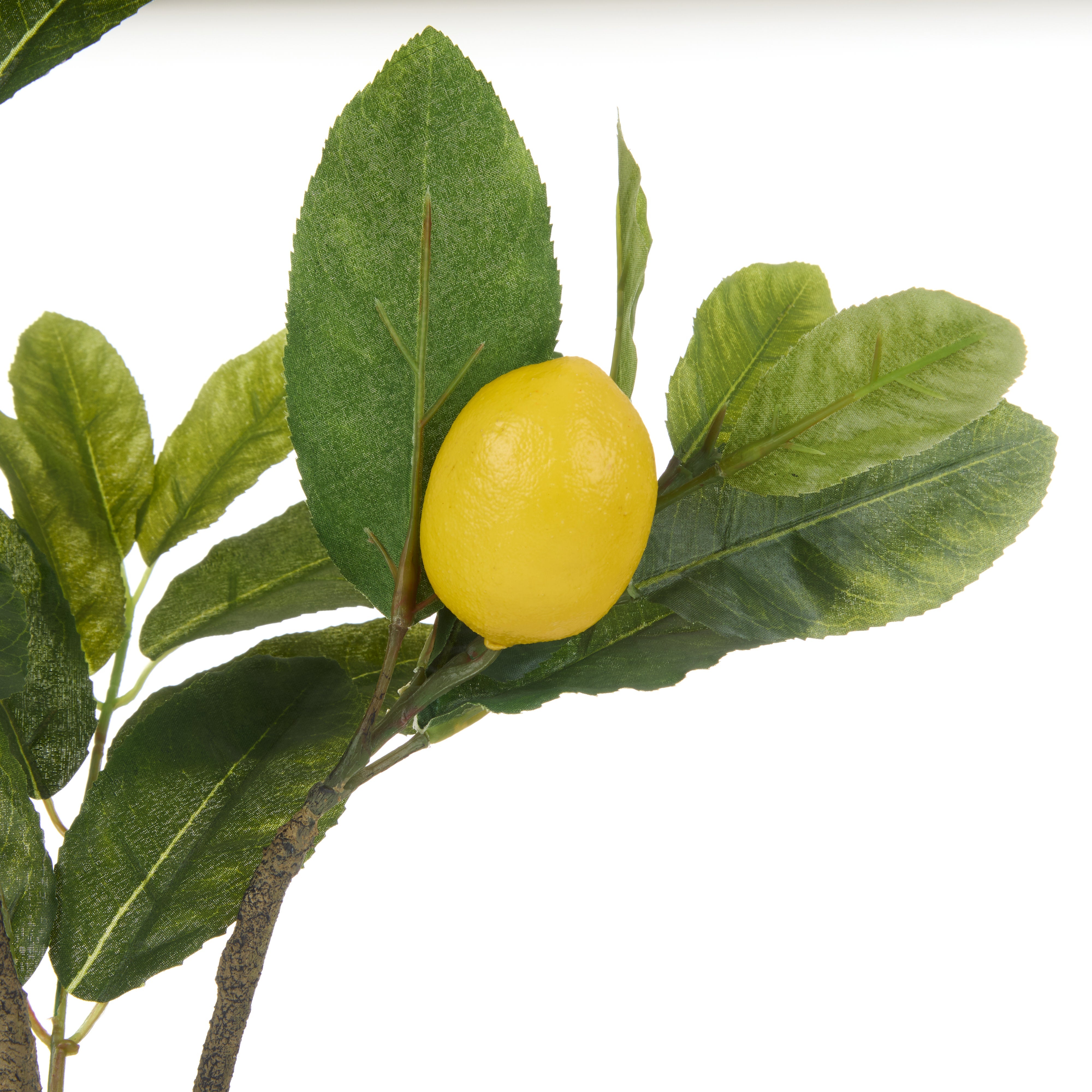 Rogue Lemon Spray