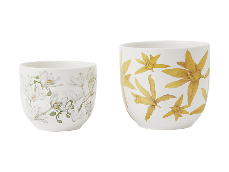 Maxwell & Williams Royal Botanic Gardens Australian Orchids Planter Yell White Yellow 2 Piece