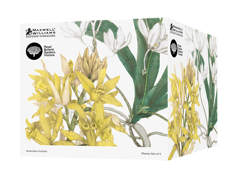 Maxwell & Williams Royal Botanic Gardens Australian Orchids Planter Yell White Yellow 2 Piece