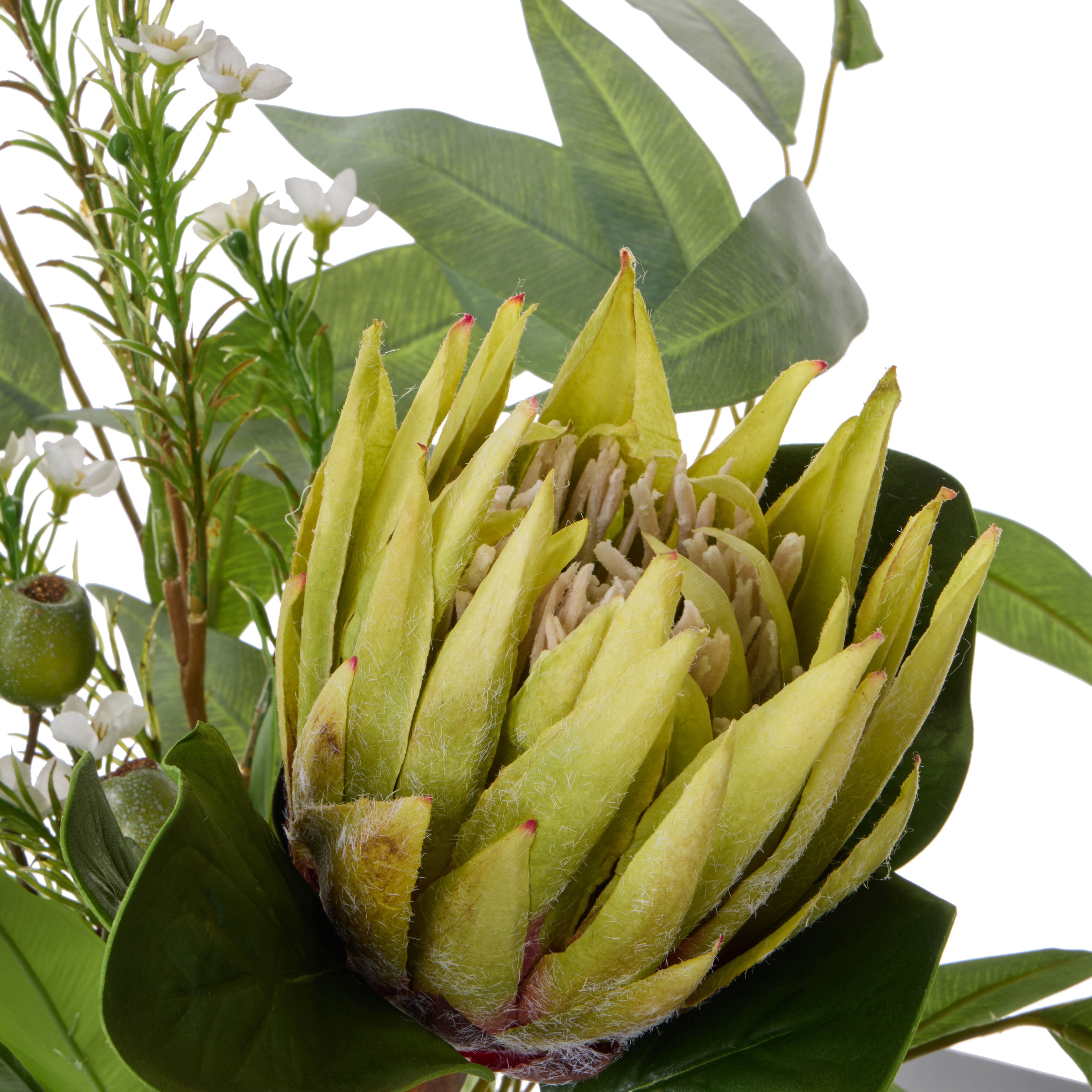 Rogue King Protea Native Mix - Claire Green