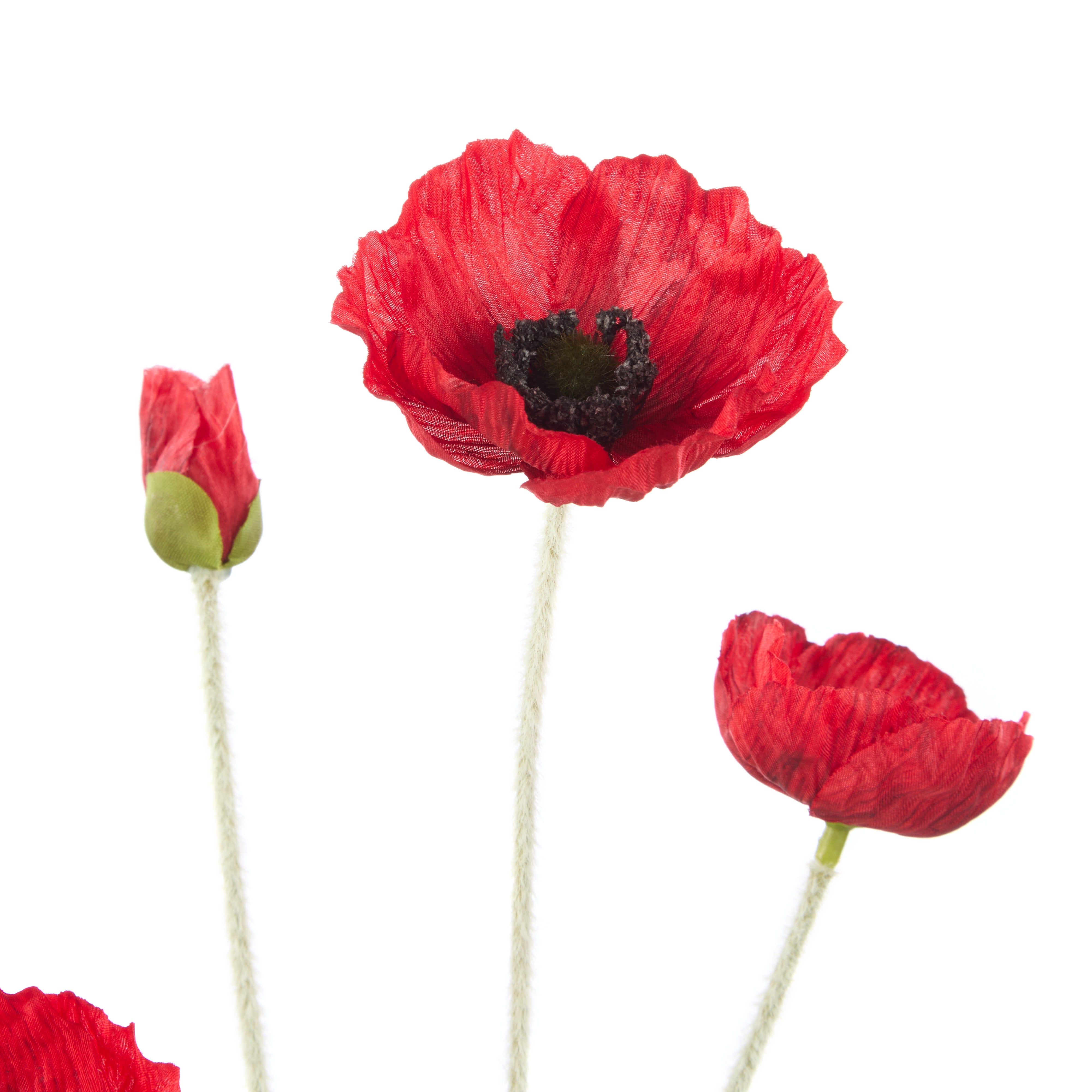 Rogue Poppy Spray Red