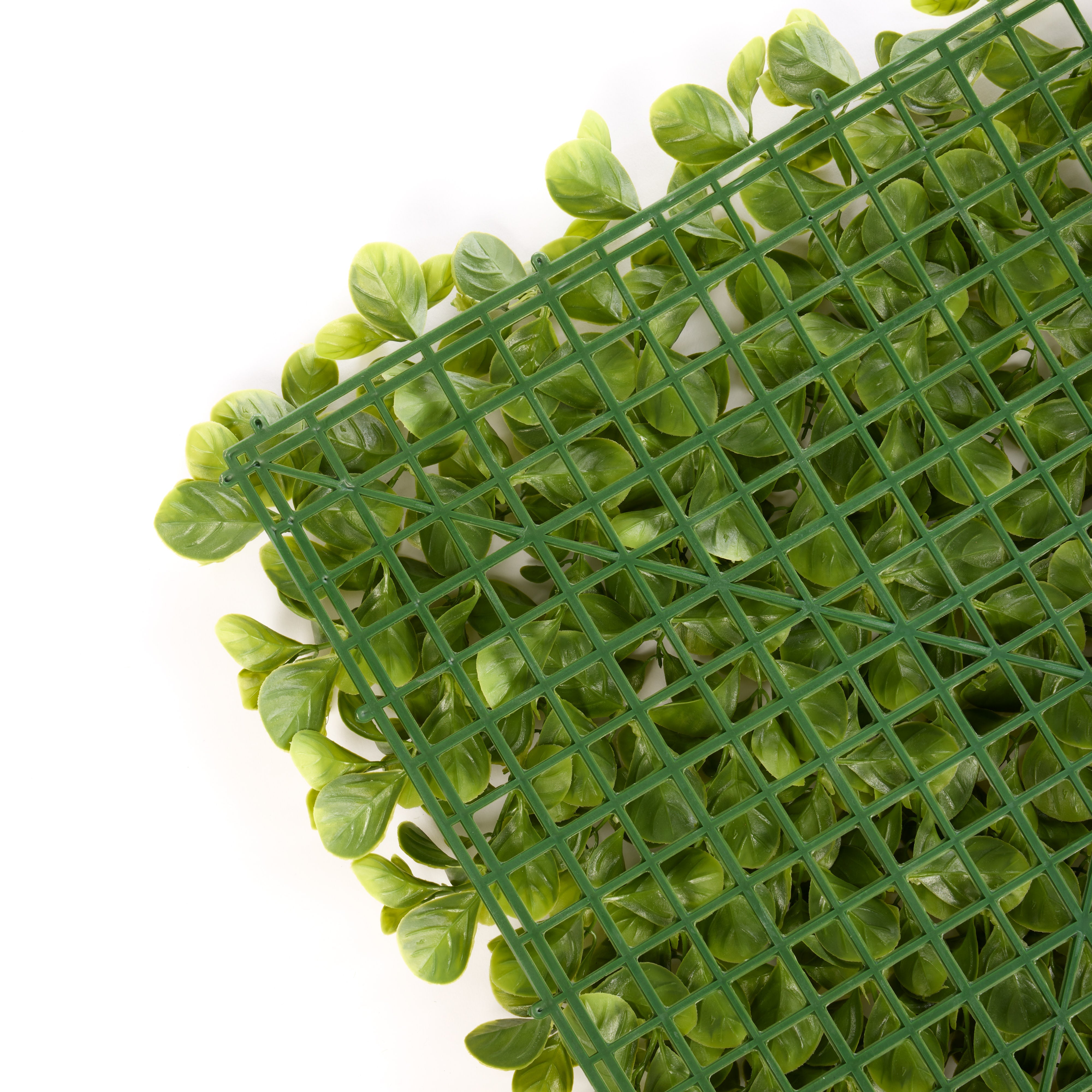 Rogue Money Leaf Tile UV