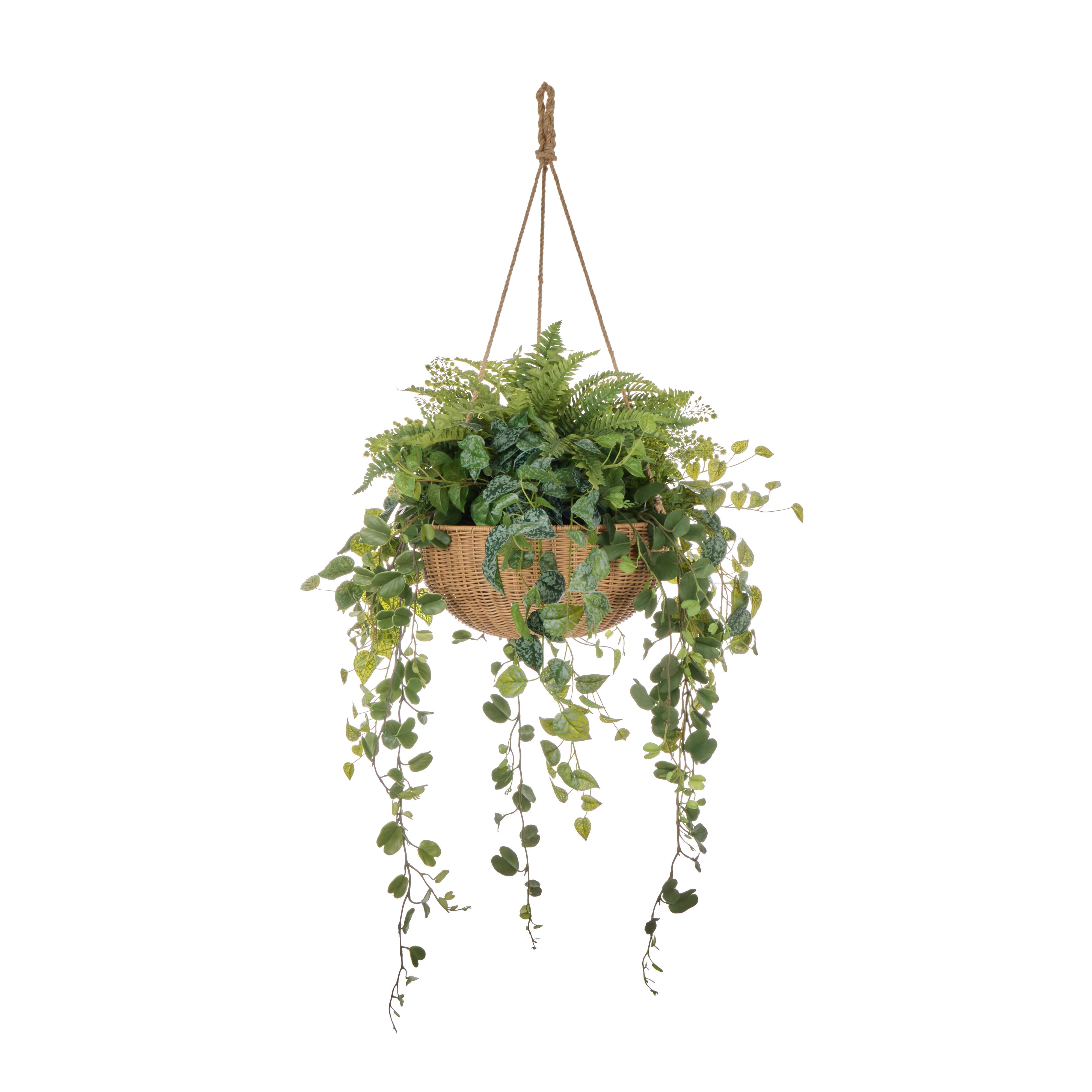 Rogue Fern Garden Mix - Laos Hanging 147cm