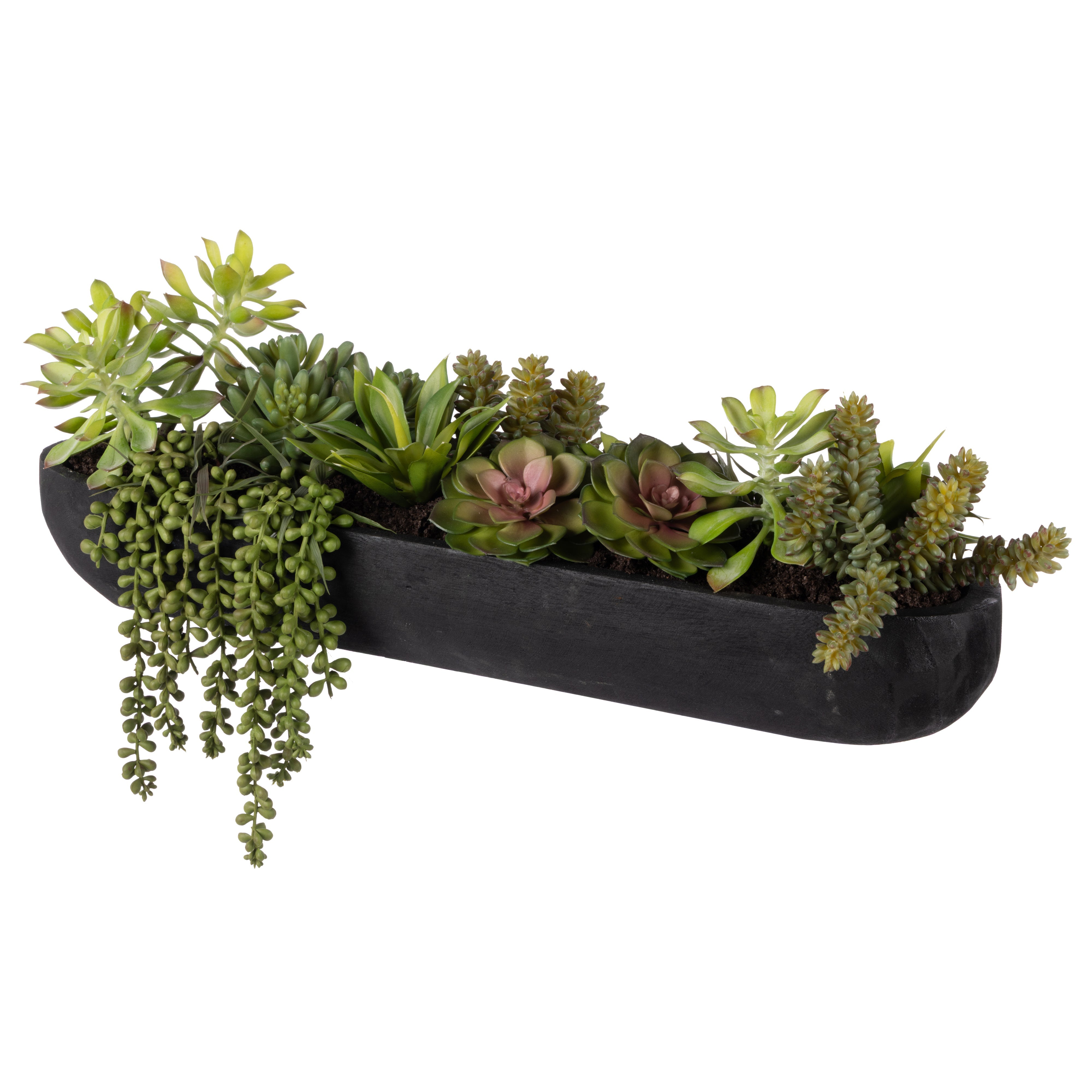 Rogue Succulent Mix - Dansk Tray