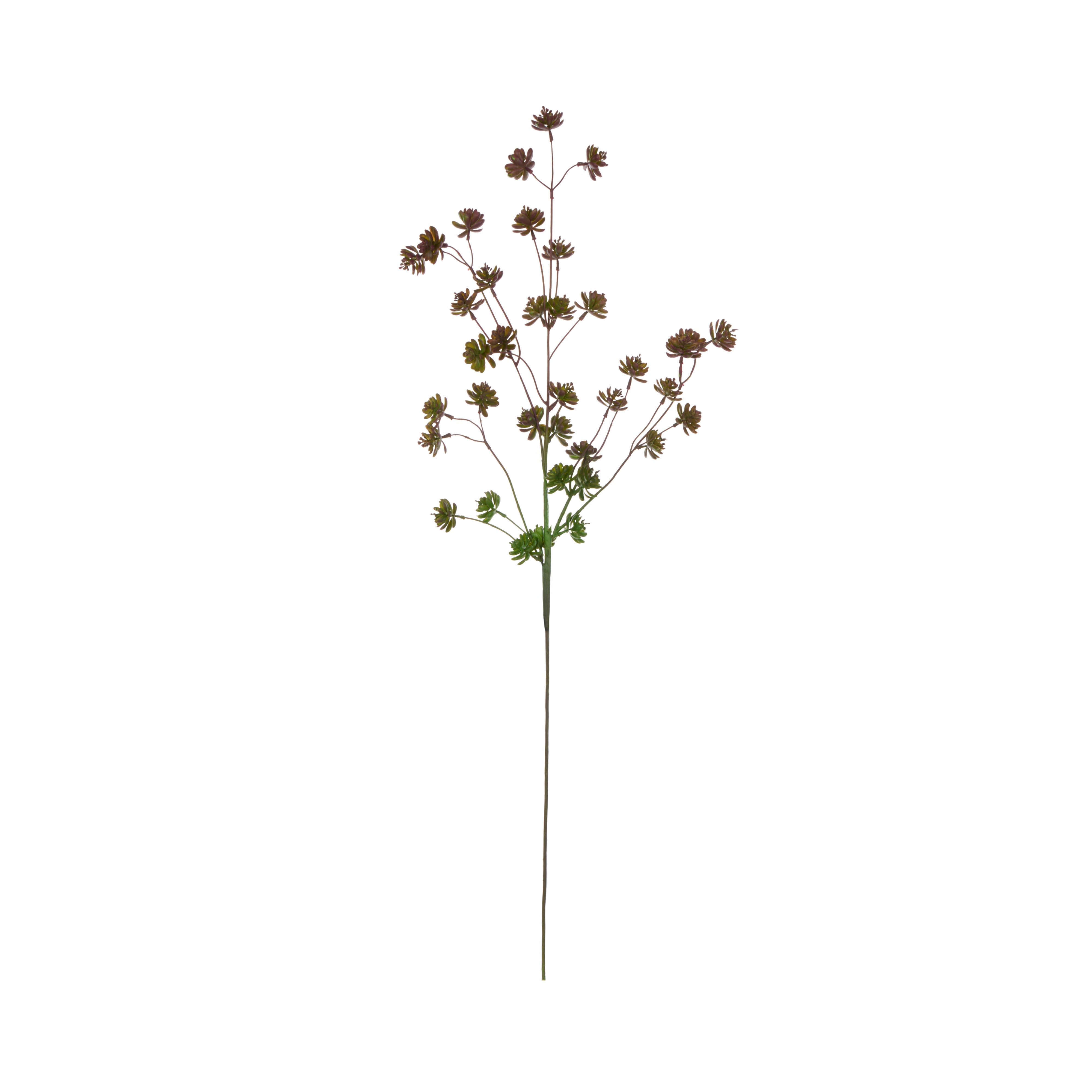 Rogue Succulent Spray Burgundy