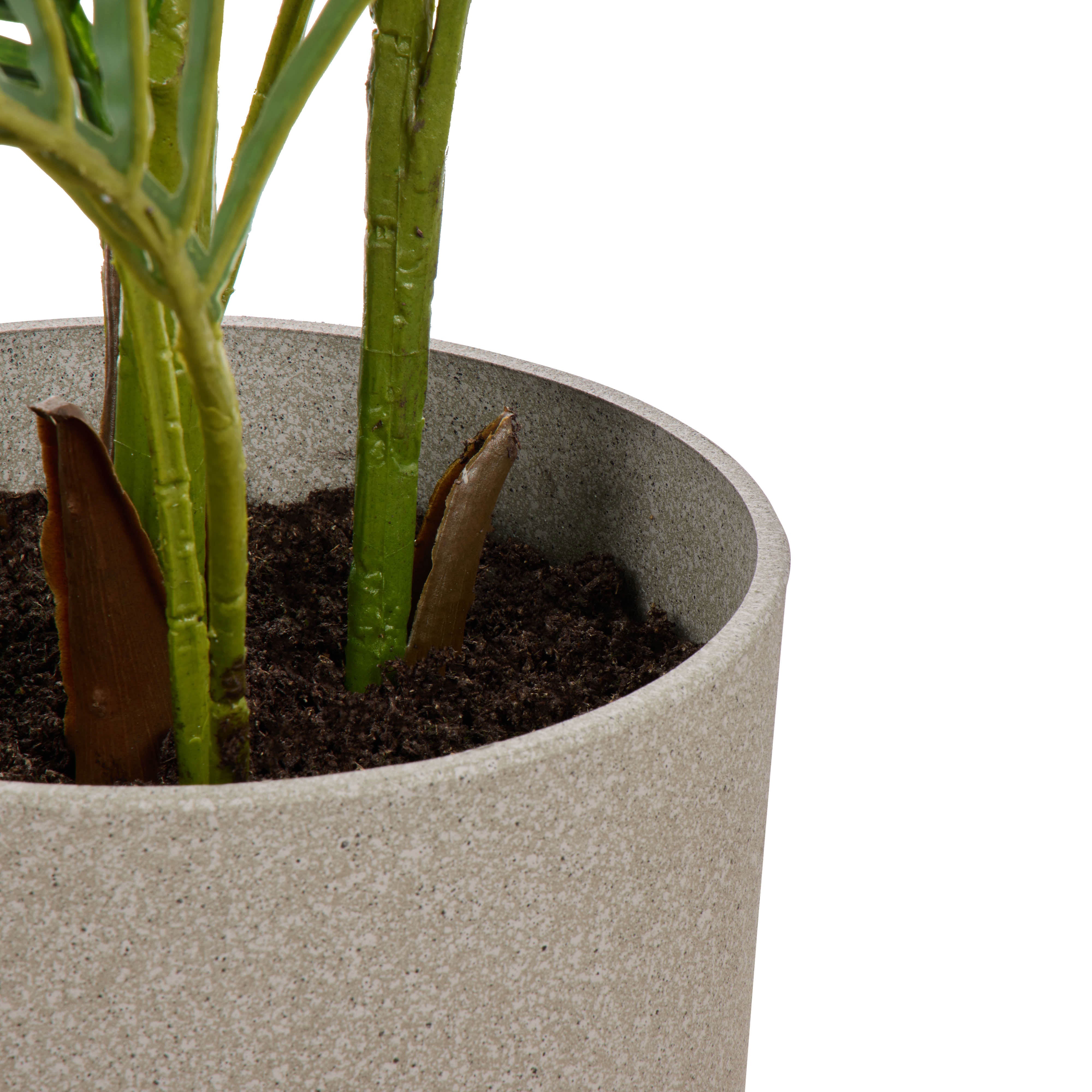 Rogue Areca Palm - Cylinder UV Green 145cm