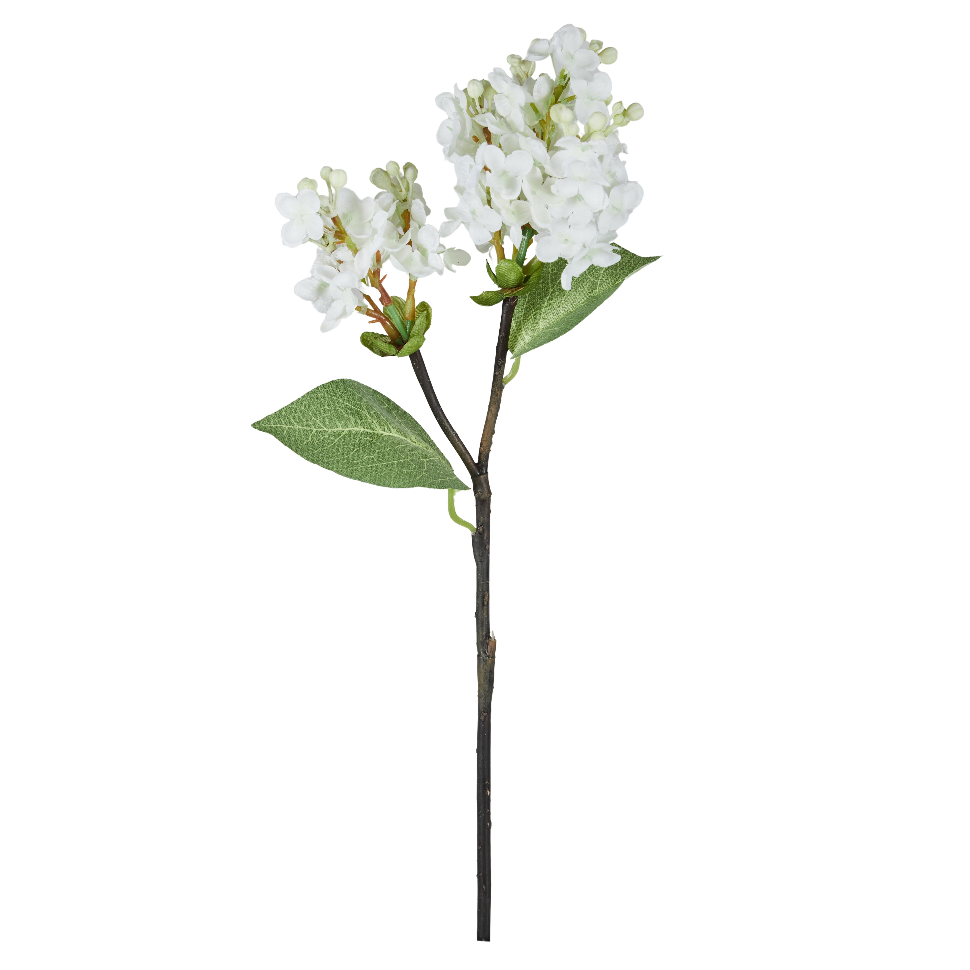 Rogue Lilac Pick
