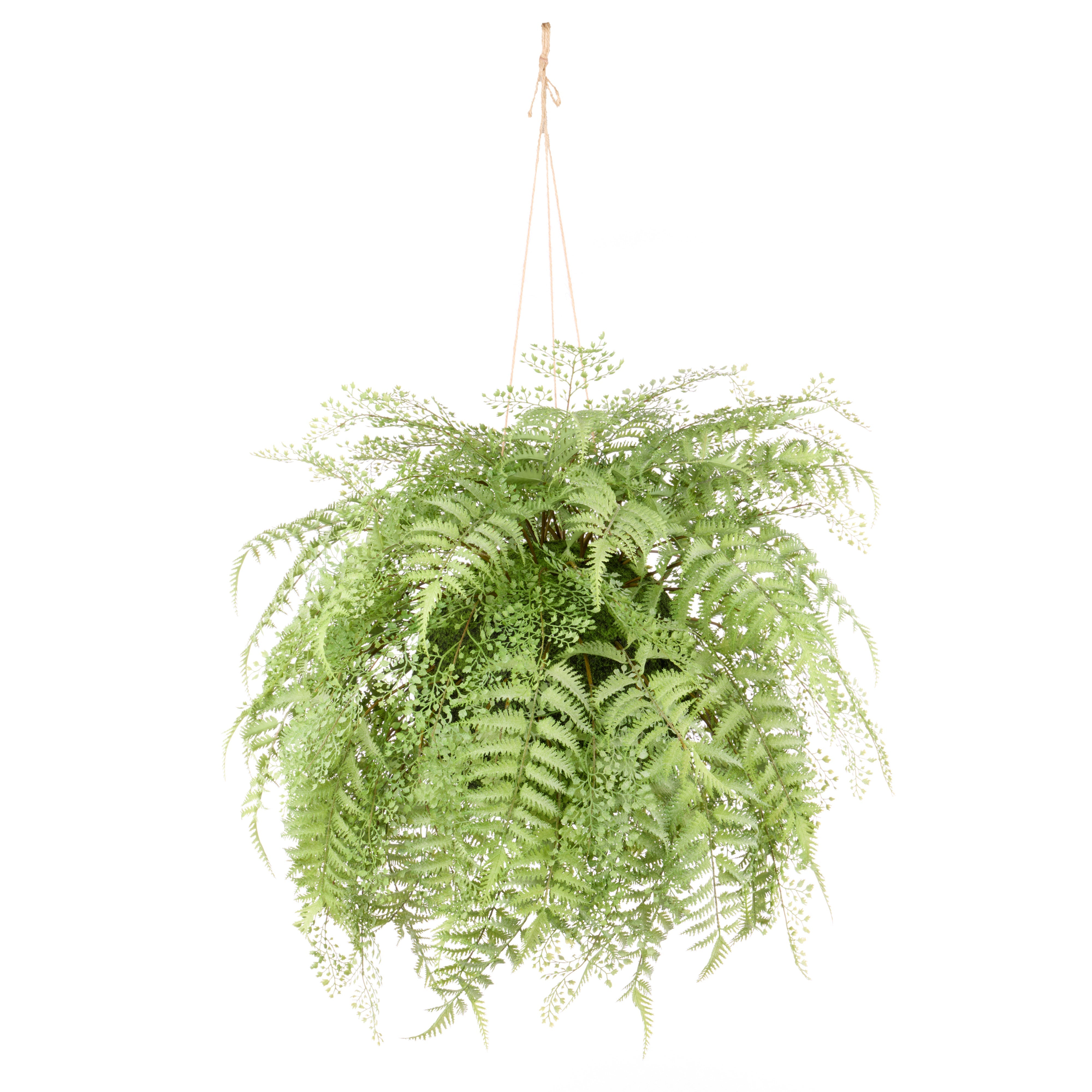 Rogue Gardening Hanging