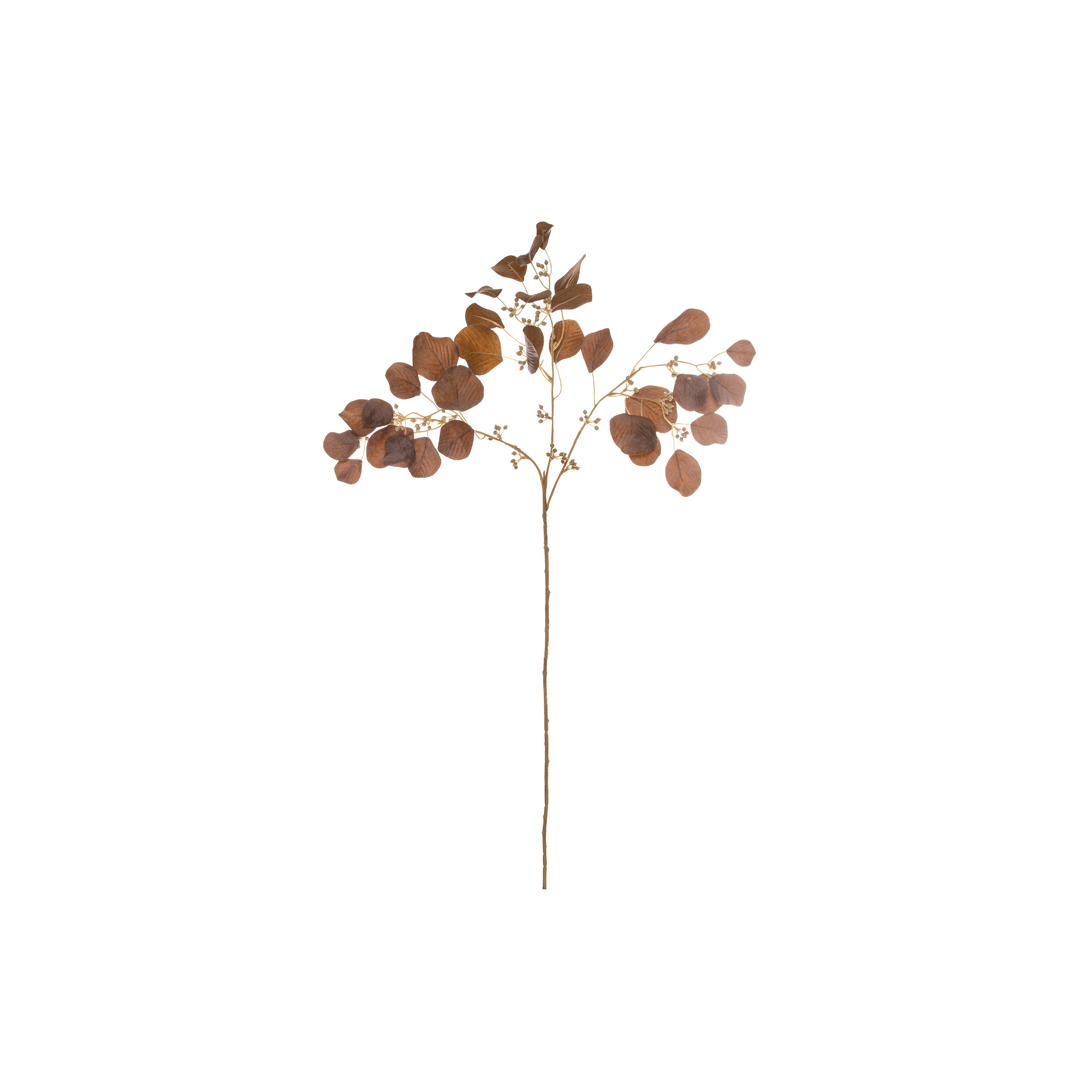 Rogue Dried Look Seeding Eucalyptus Spray