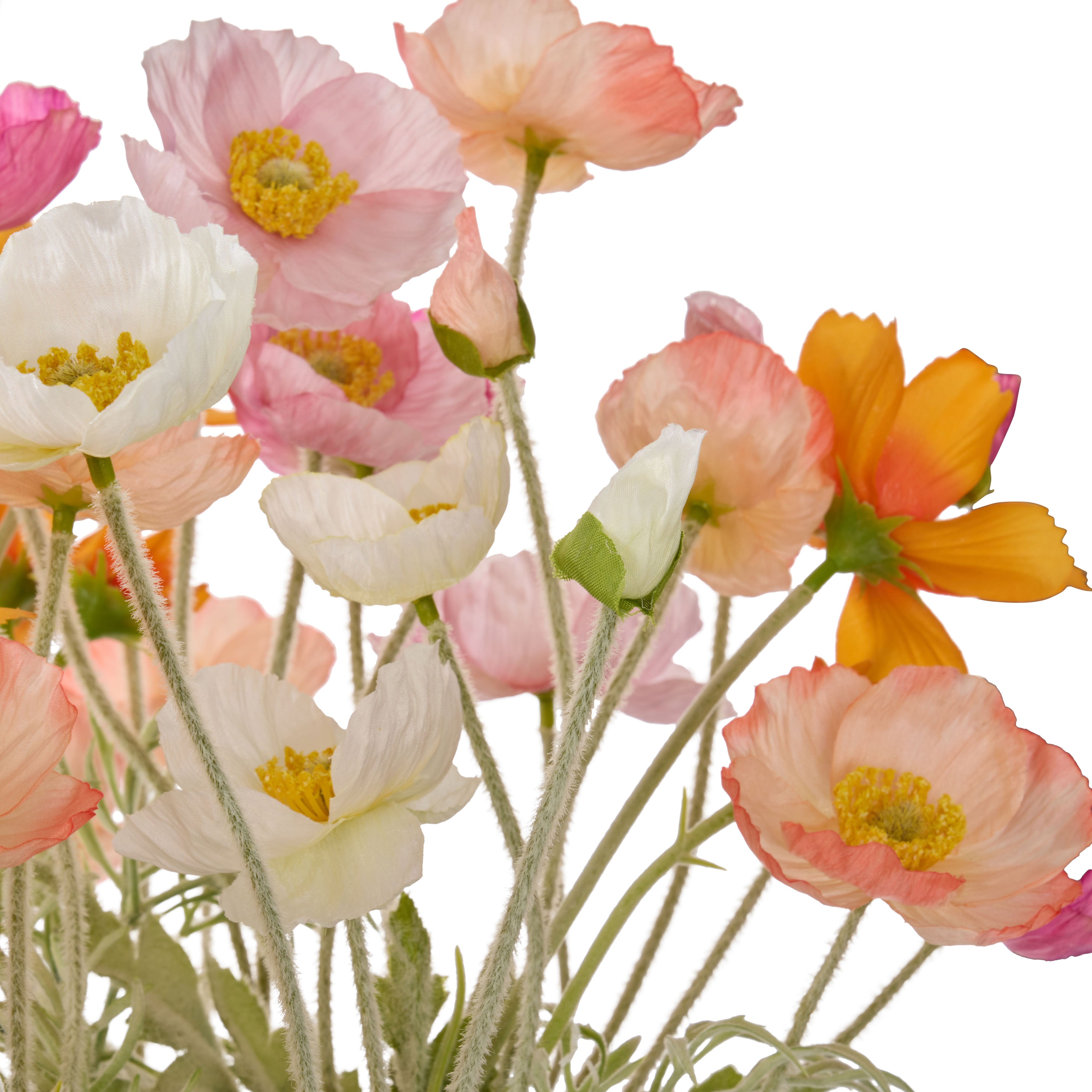 Rogue Poppy Garden - Delos Multi-Coloured & White