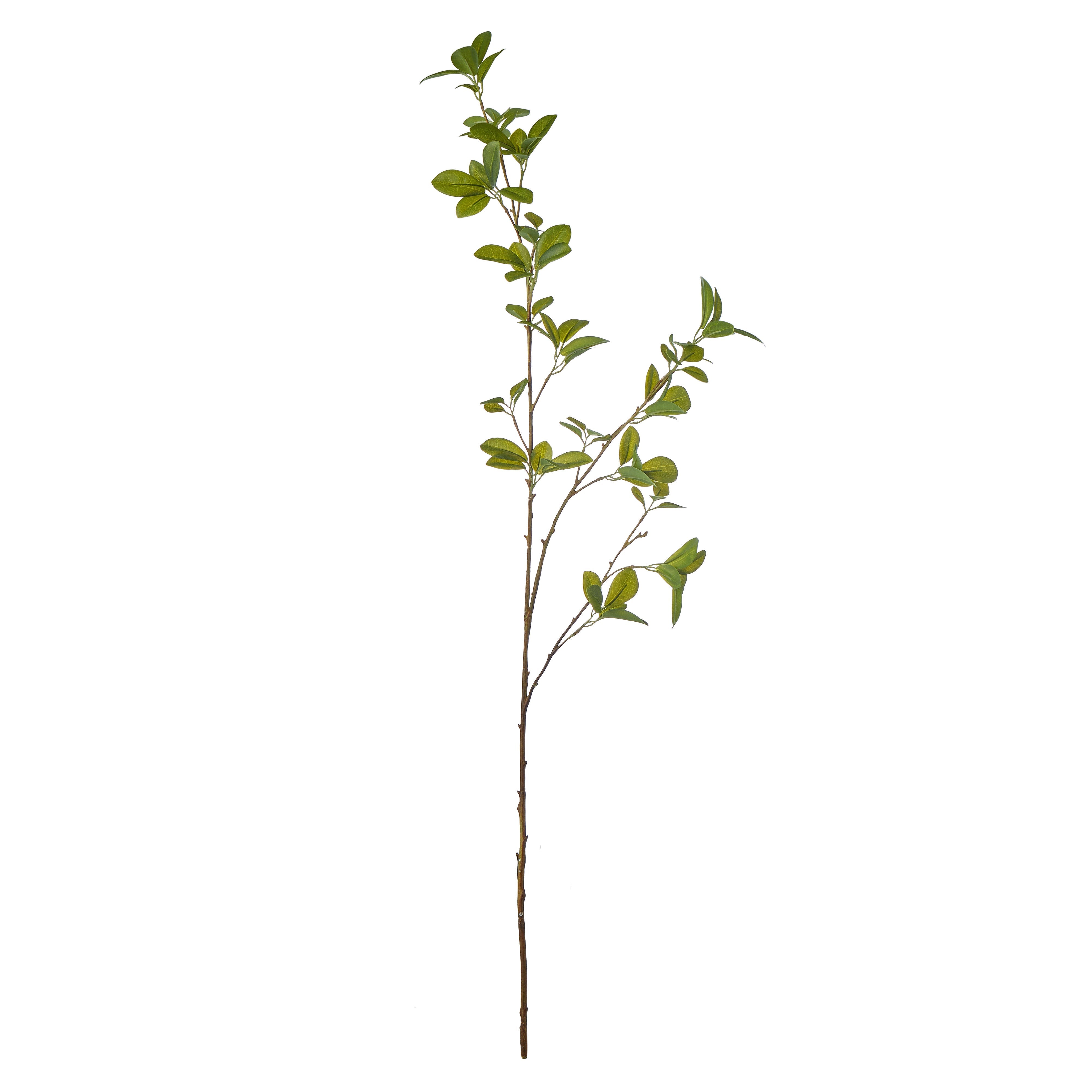 Rogue Mini Leaf Spray