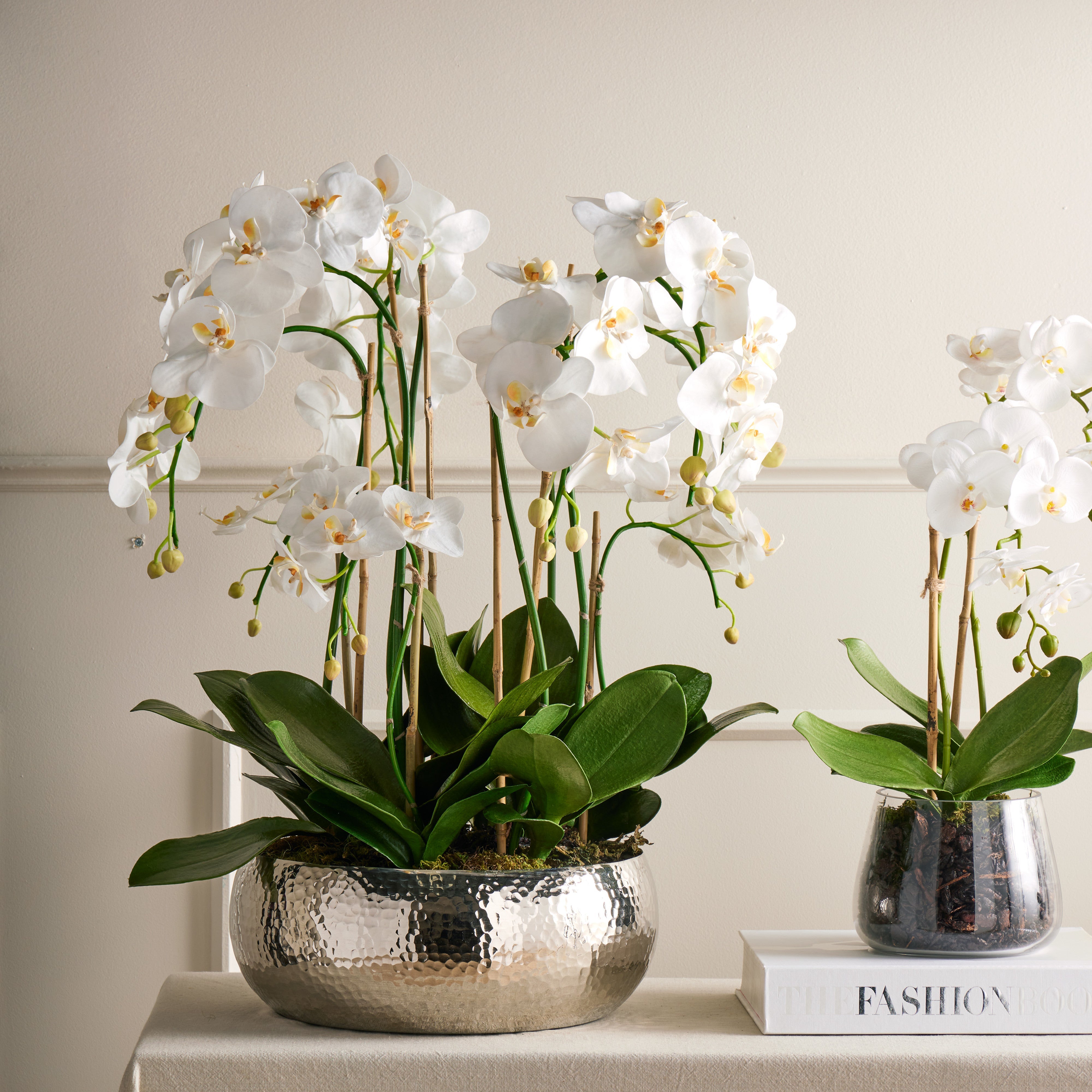 Rogue Phalaenopsis Stem - Classic Bowl 56cm