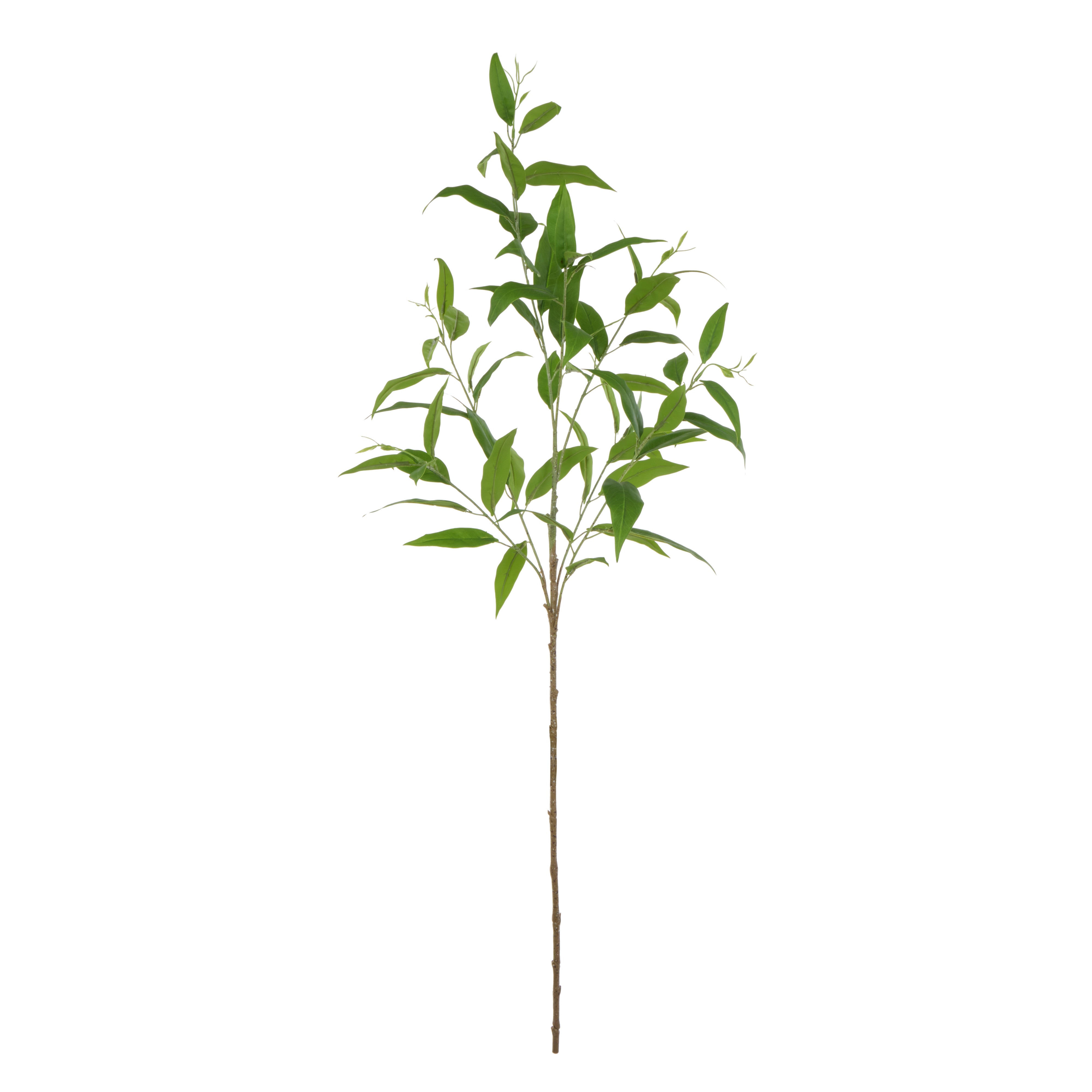 Rogue Eucalyptus Spray Green 105cm