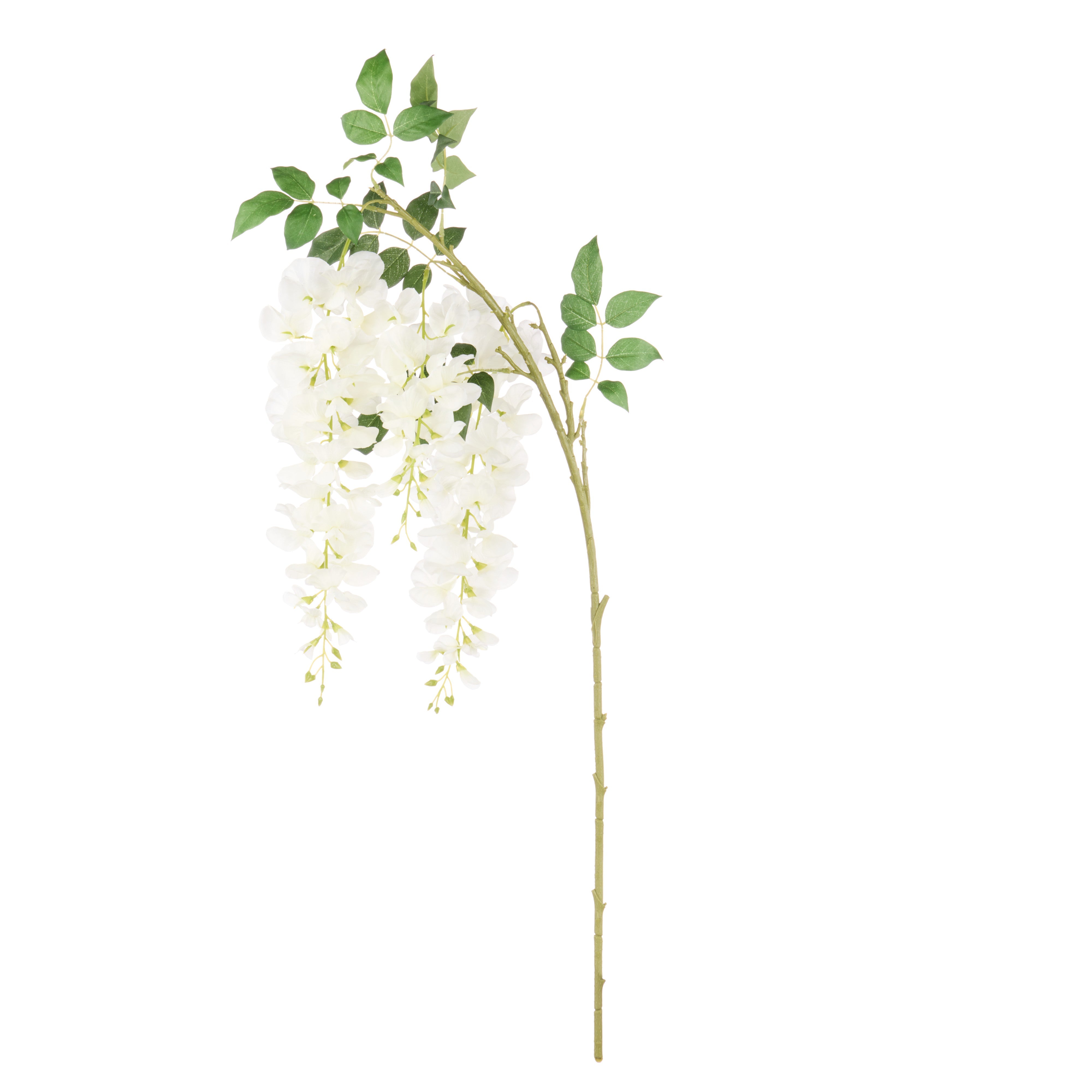 Rogue Wisteria Spray White