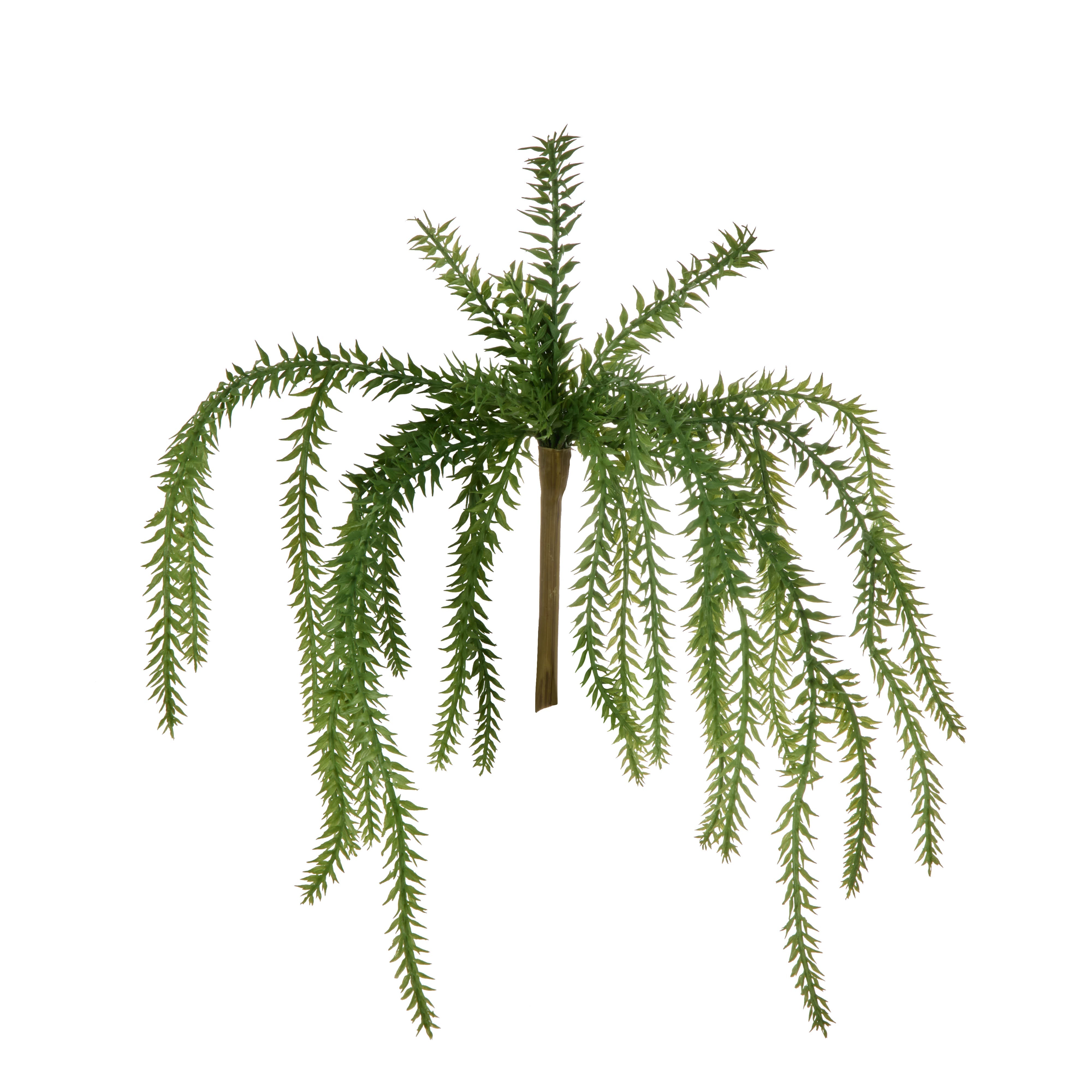Rogue Tassel Fern
