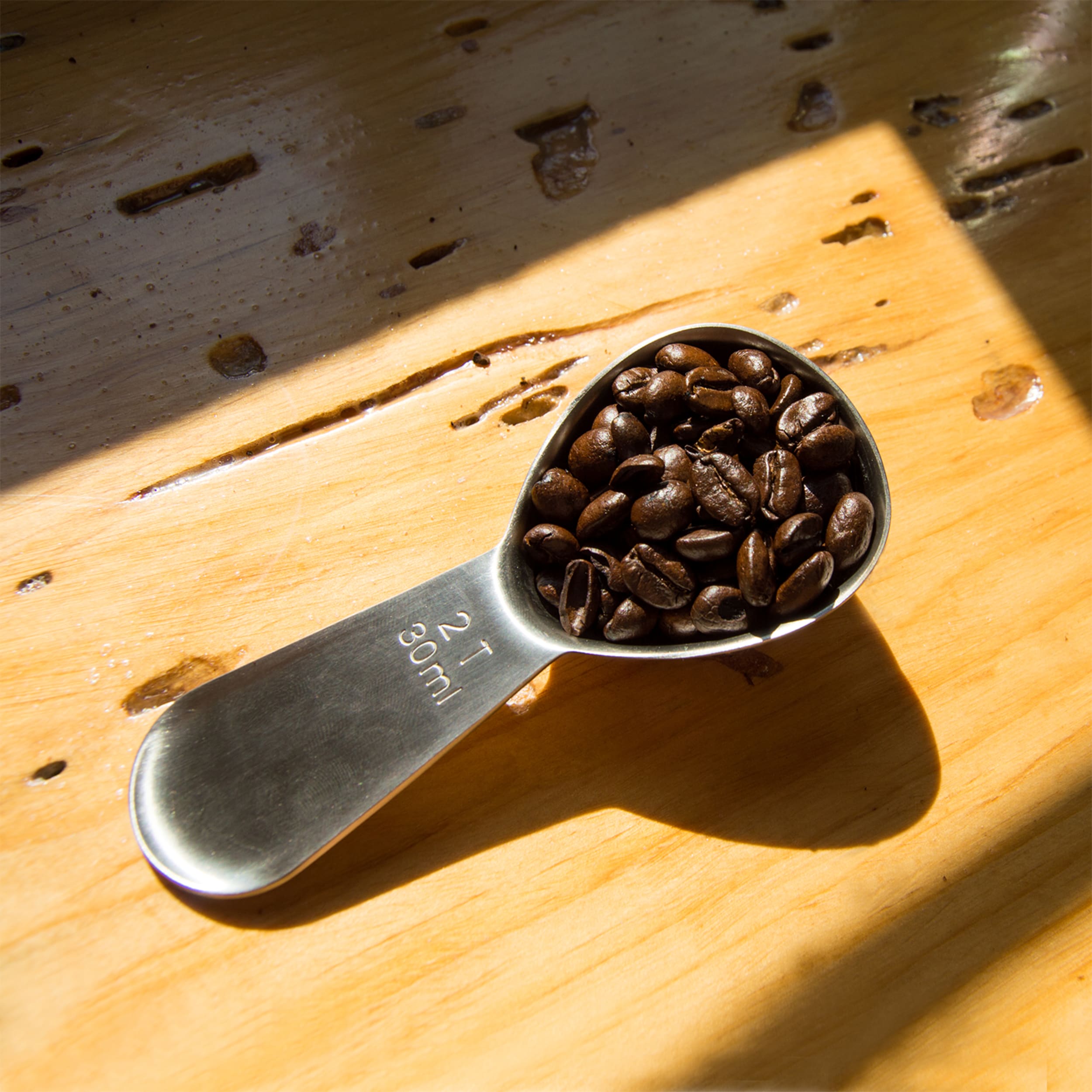 Planetary Design Coffee Scoop 30ml Brushed Steel