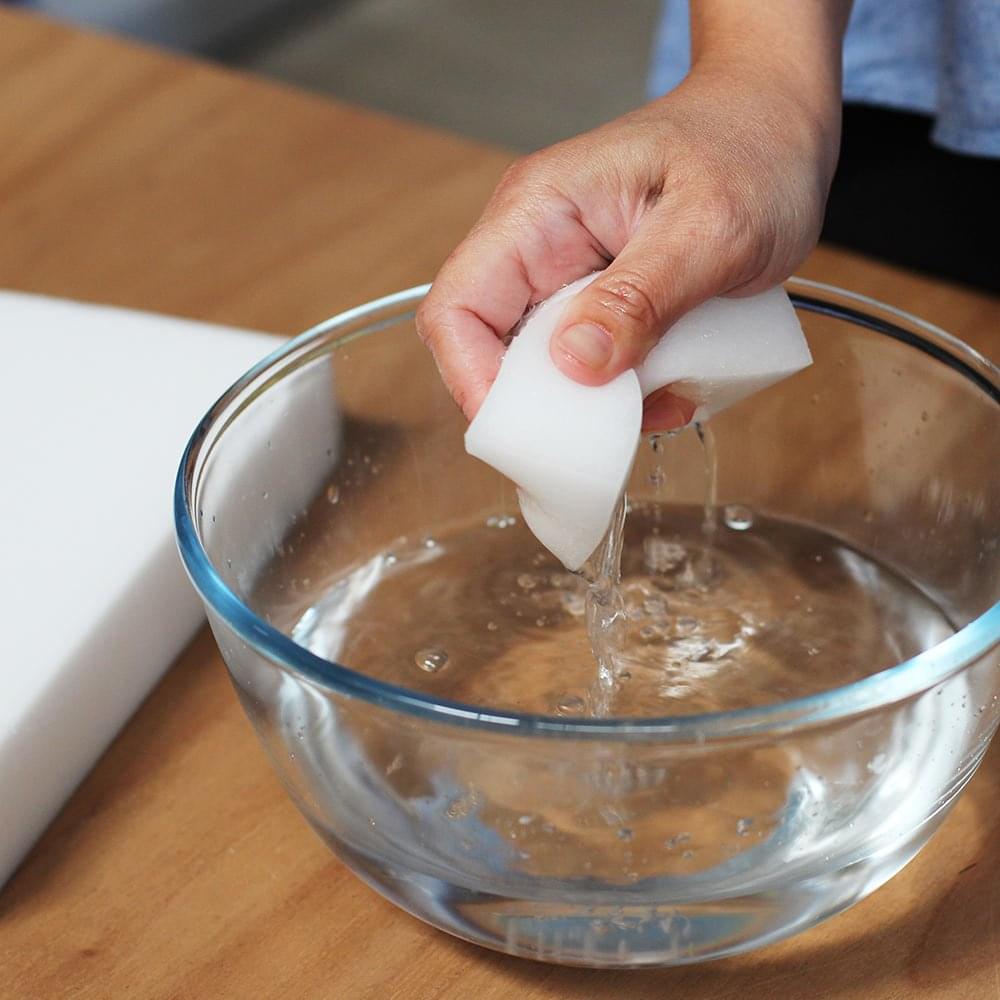 Aquarium Eraser Sponge