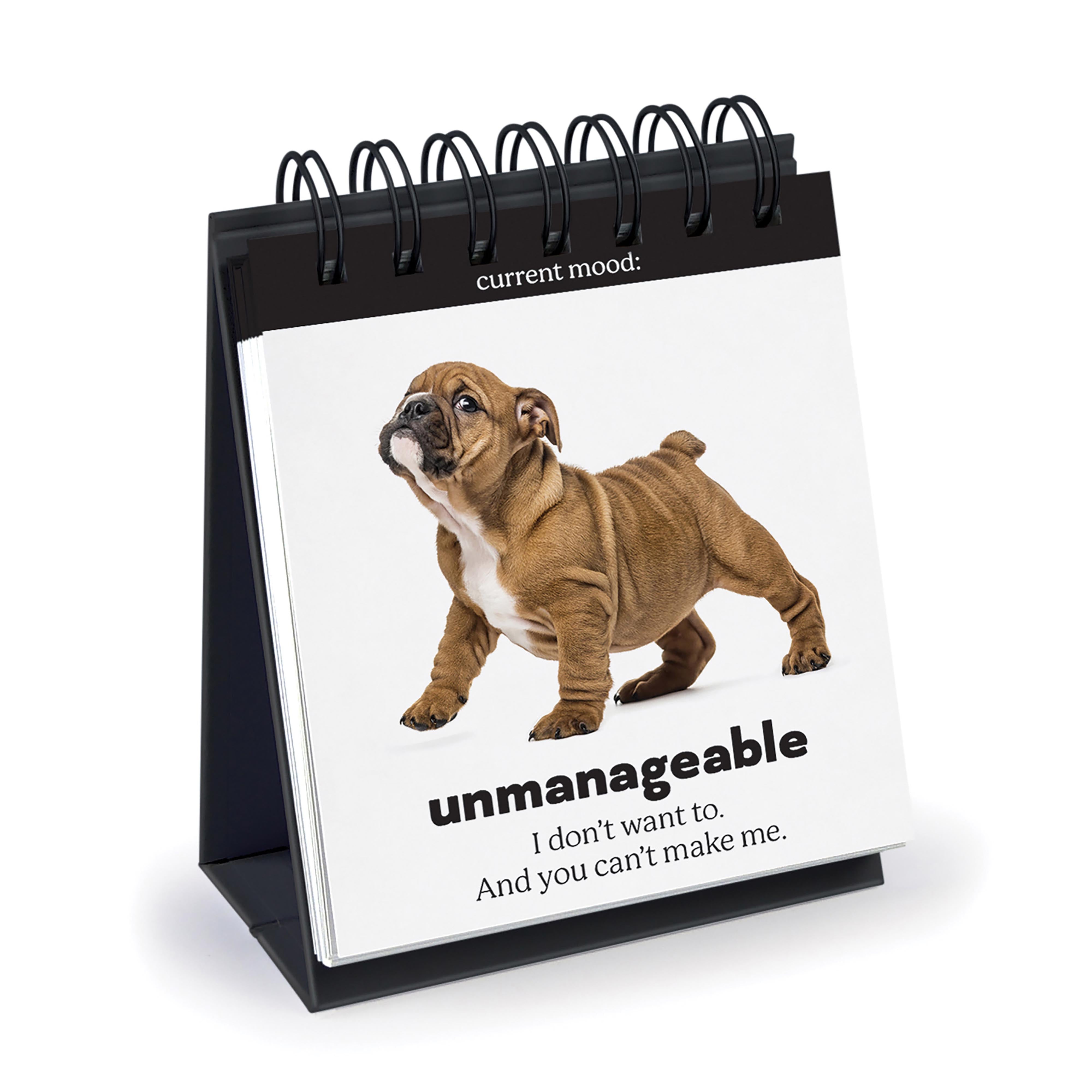 Fred Daily Doggo Desktop Flip Book Multi-Coloured
