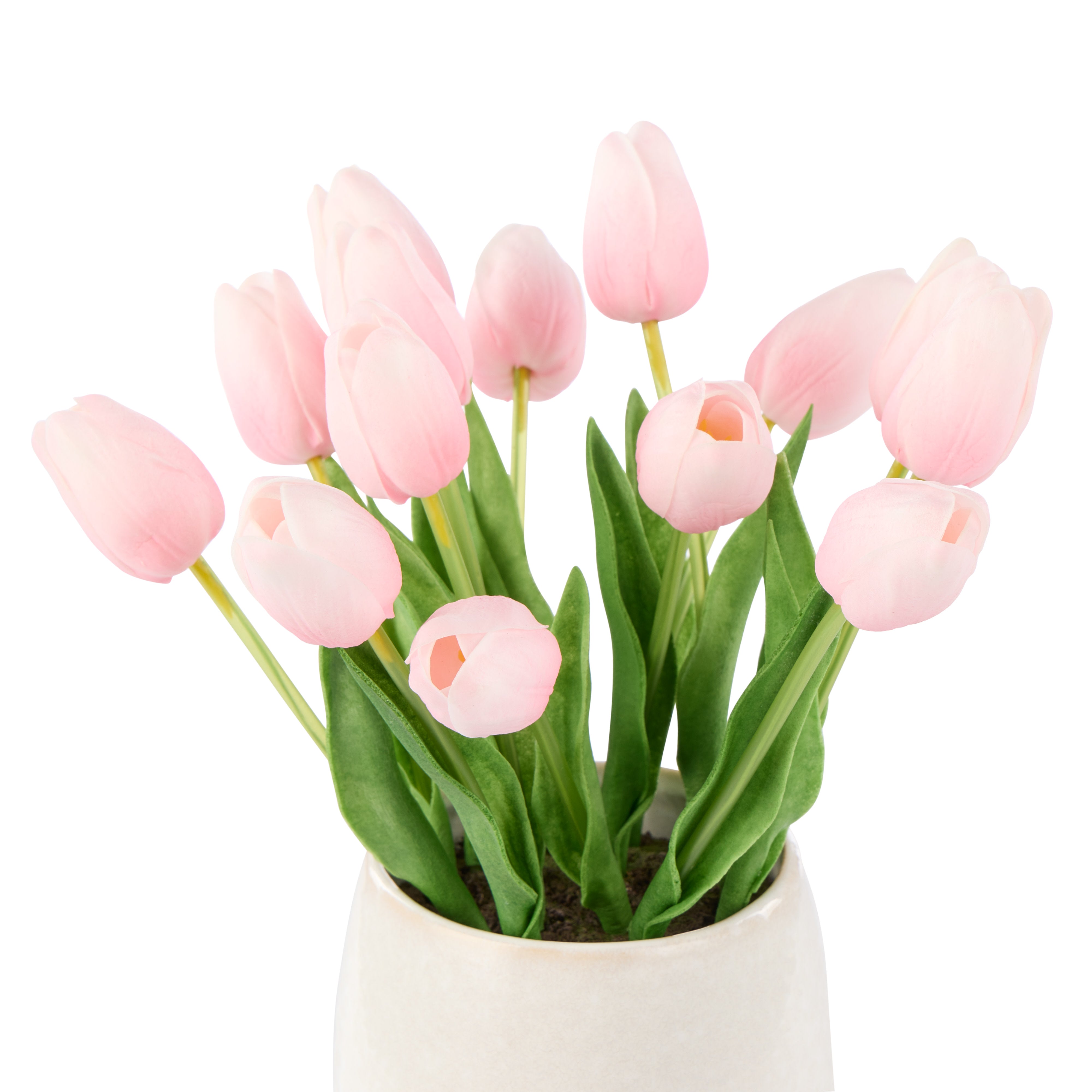 Rogue Tulip Bunch - Gianna Pot