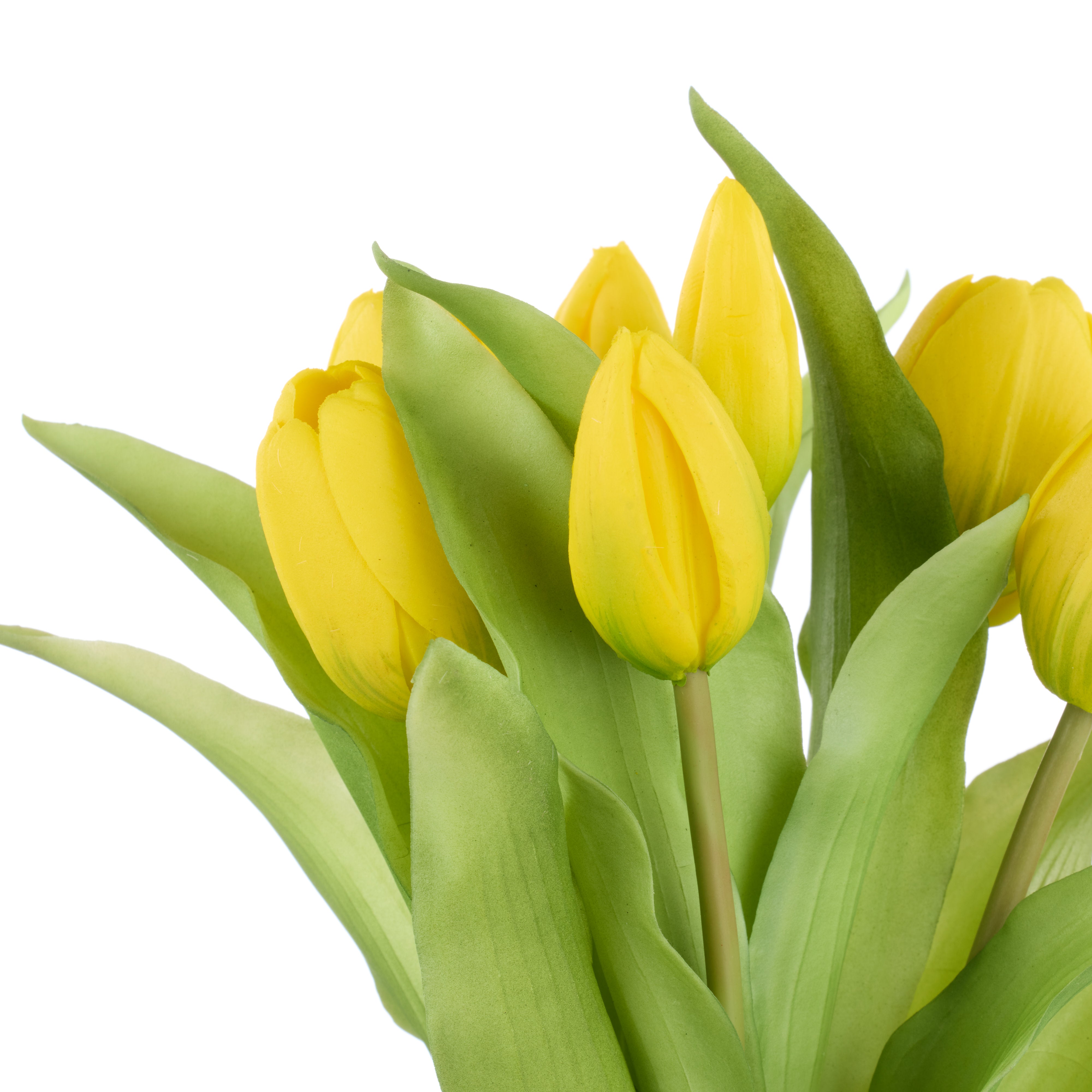 Rogue Tulip Bunch Yellow