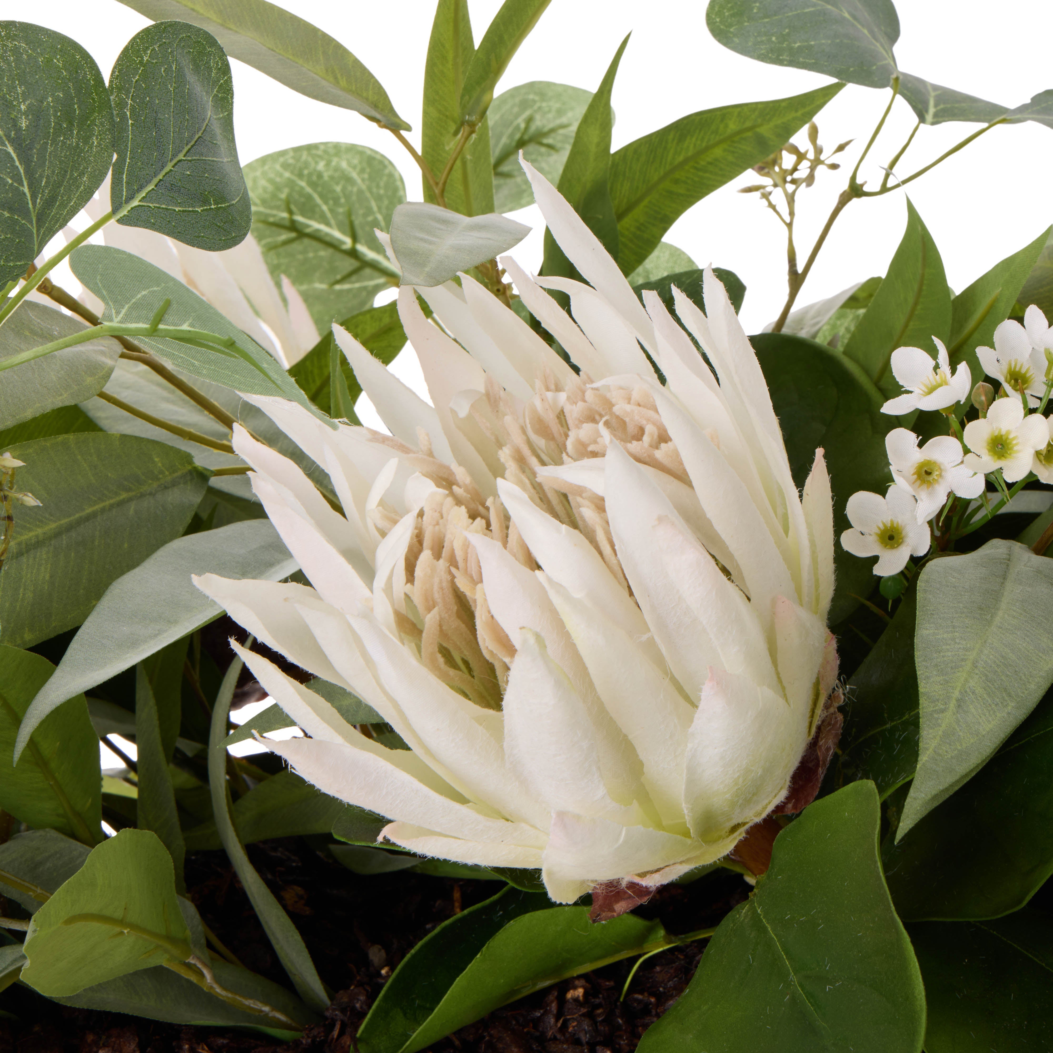 Rogue King Protea Native Mix - Dansk Vase