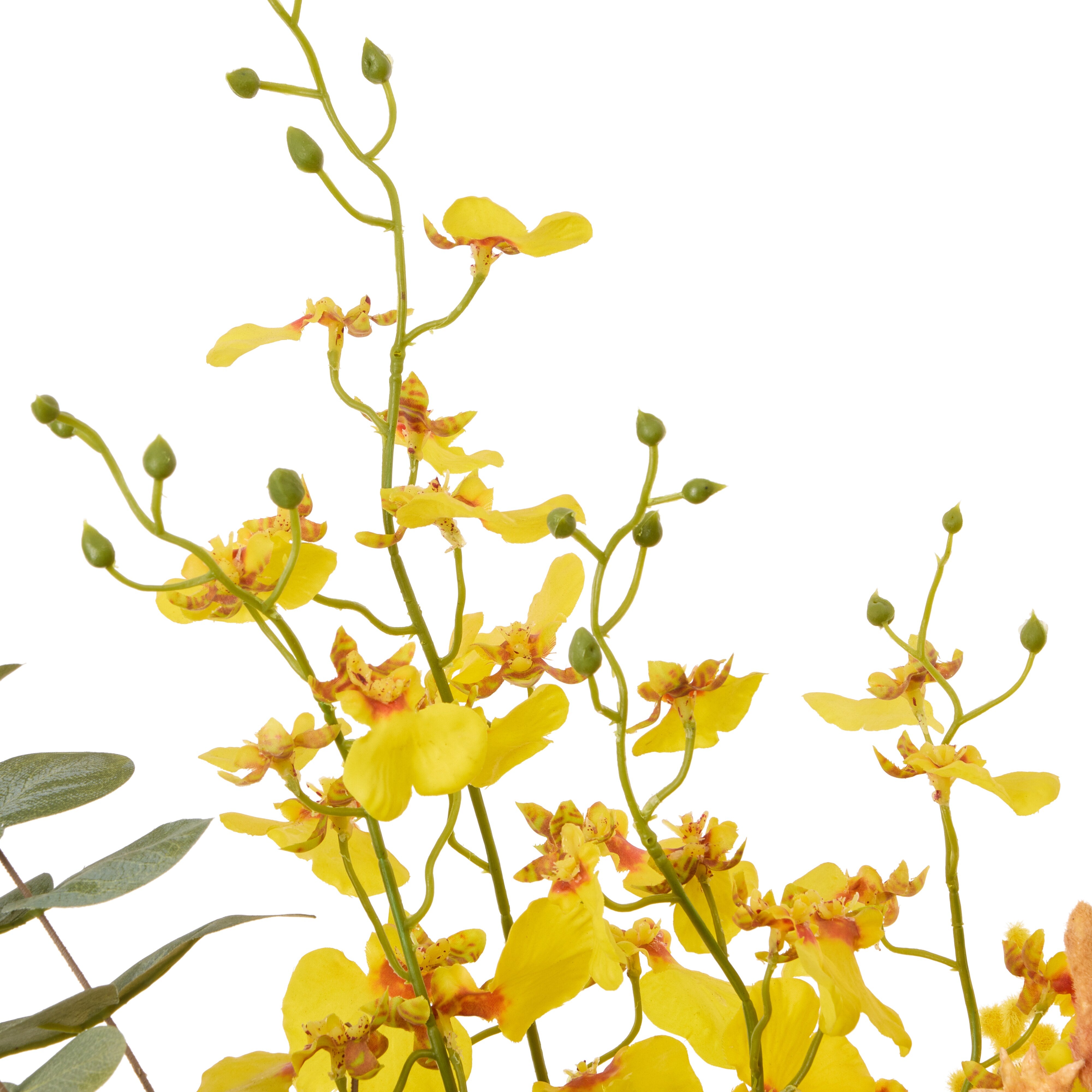 Rogue Banksia Wattle Mix - Alana Vase Yellow & Green